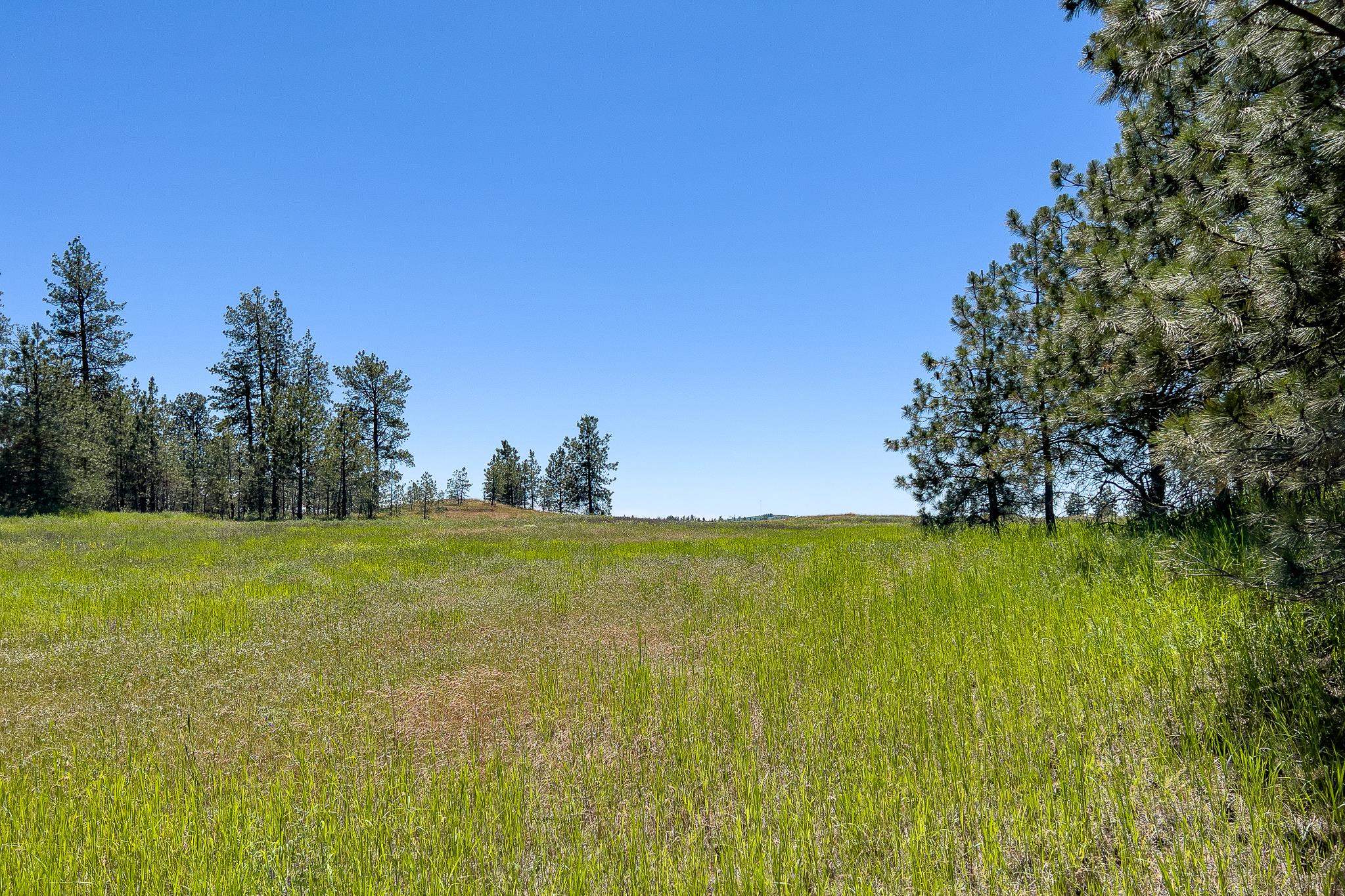 00D N Ritchey Rd - Photo 24