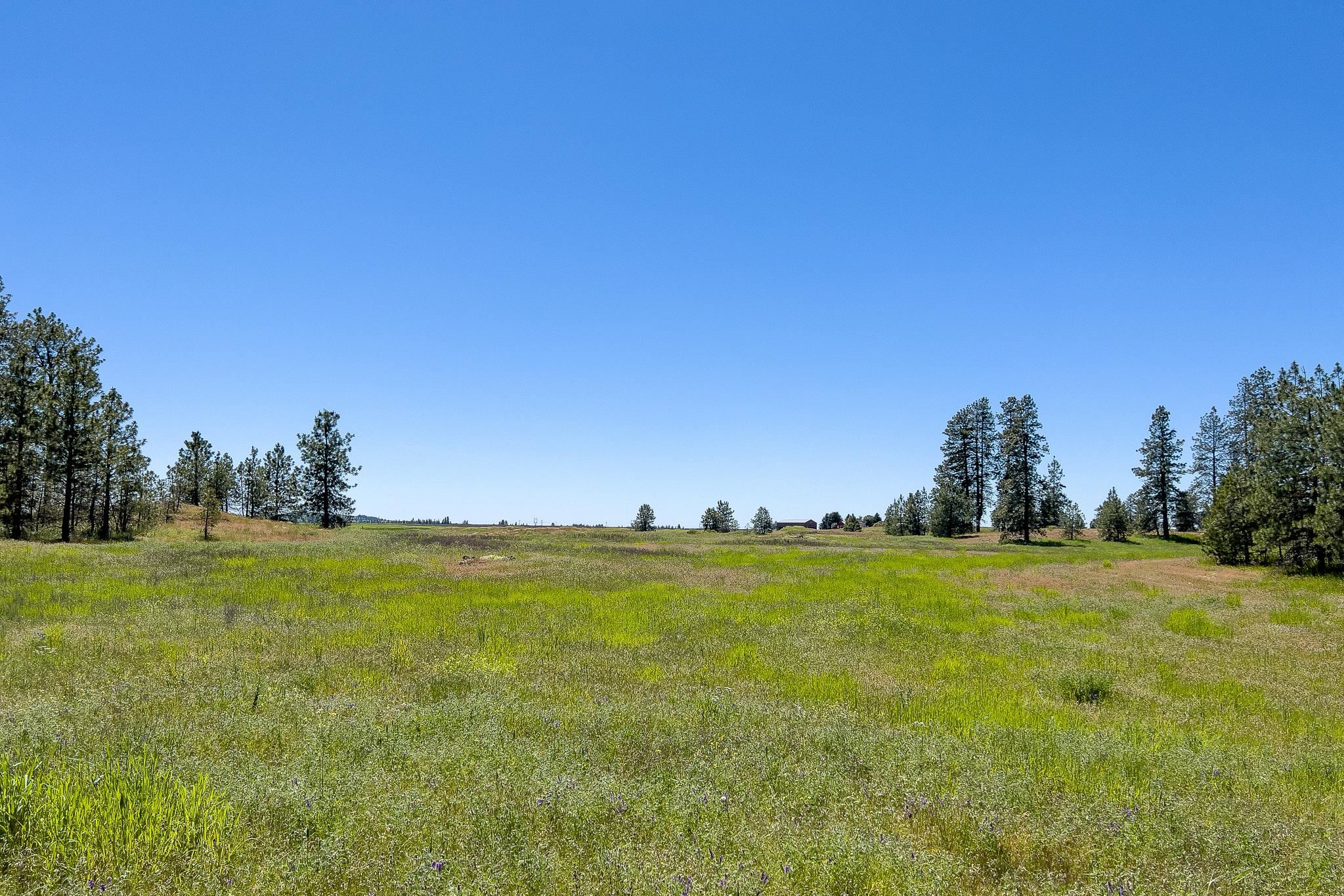 00D N Ritchey Rd - Photo 27
