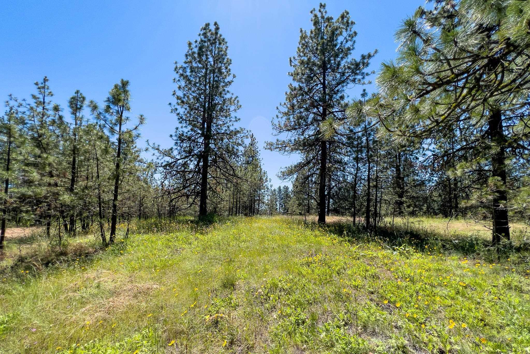 00D N Ritchey Rd - Photo 31