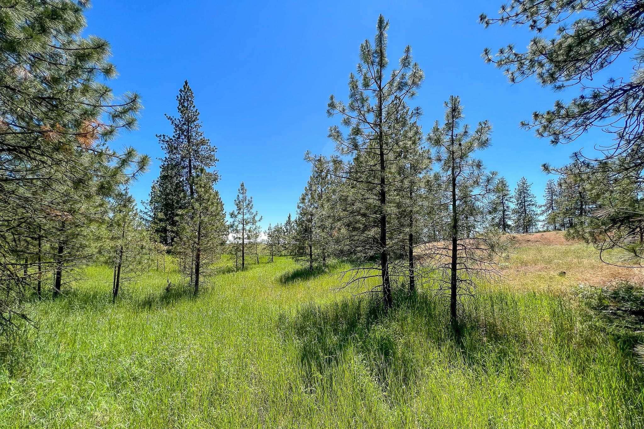 00D N Ritchey Rd - Photo 33