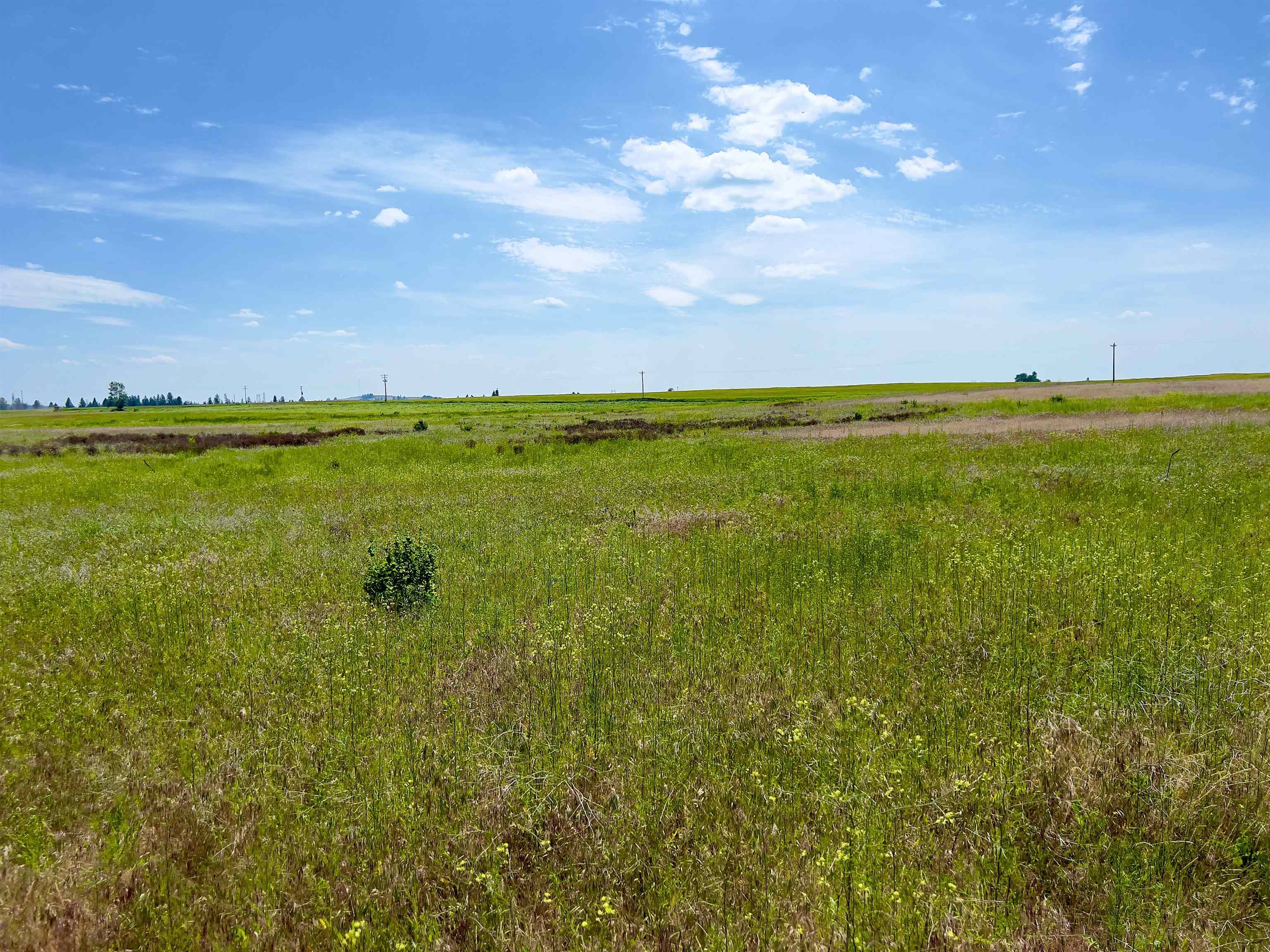 00K N Ritchey Rd - Photo 29