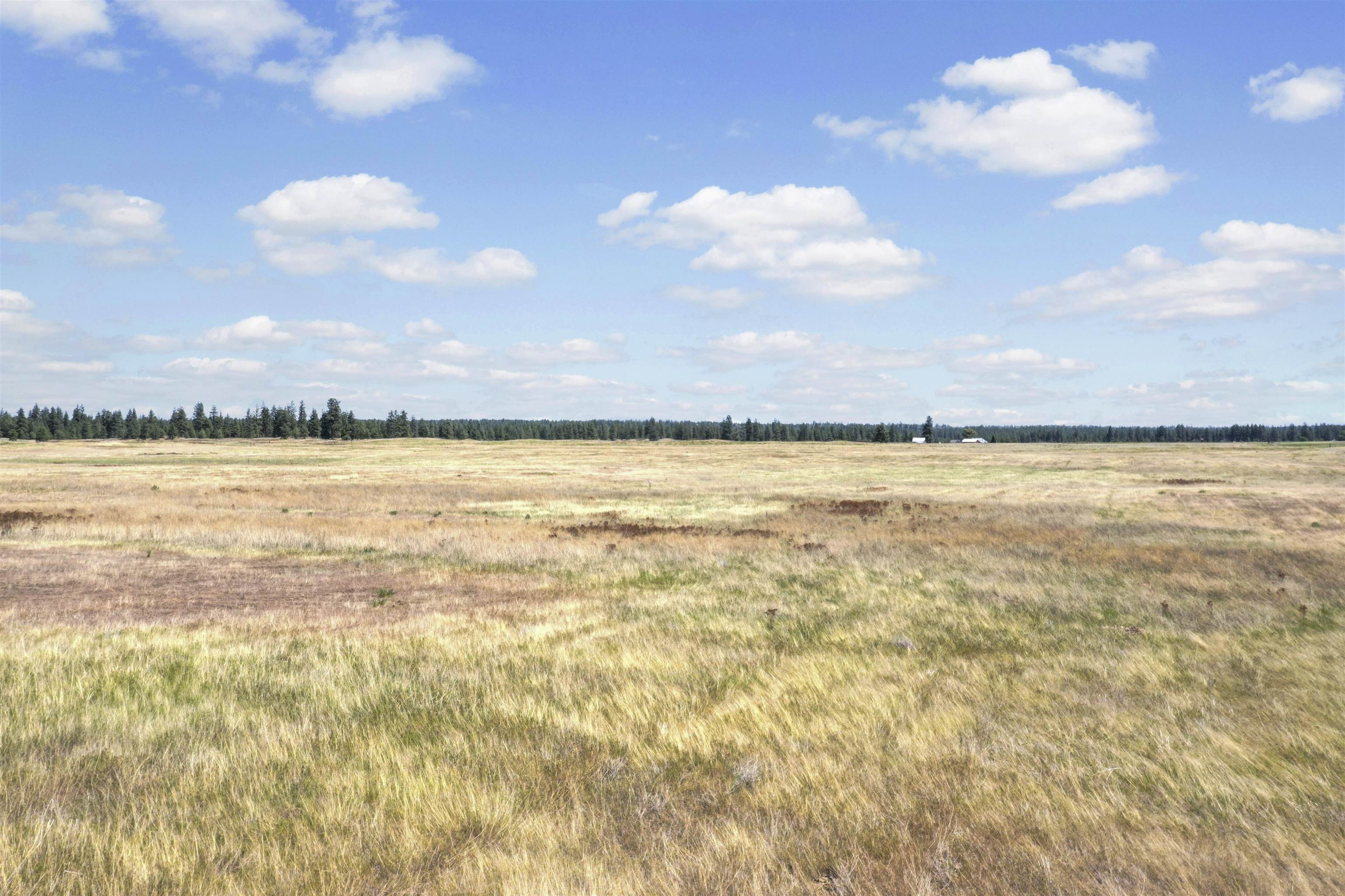 00L N Ritchey Rd - Photo 20