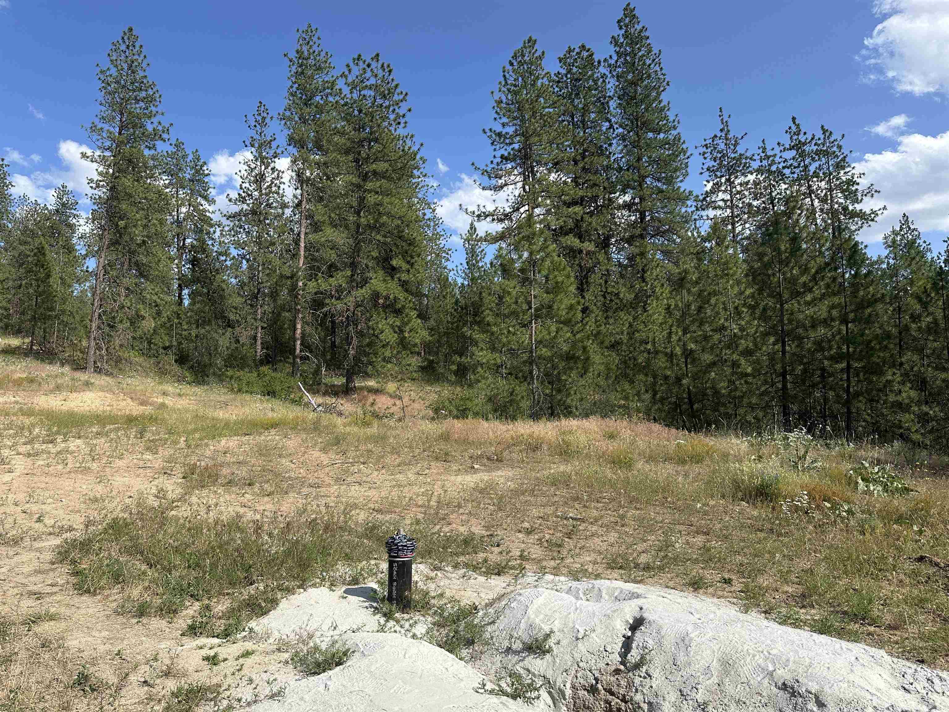 NKA Lower Weaver Way - Photo 2