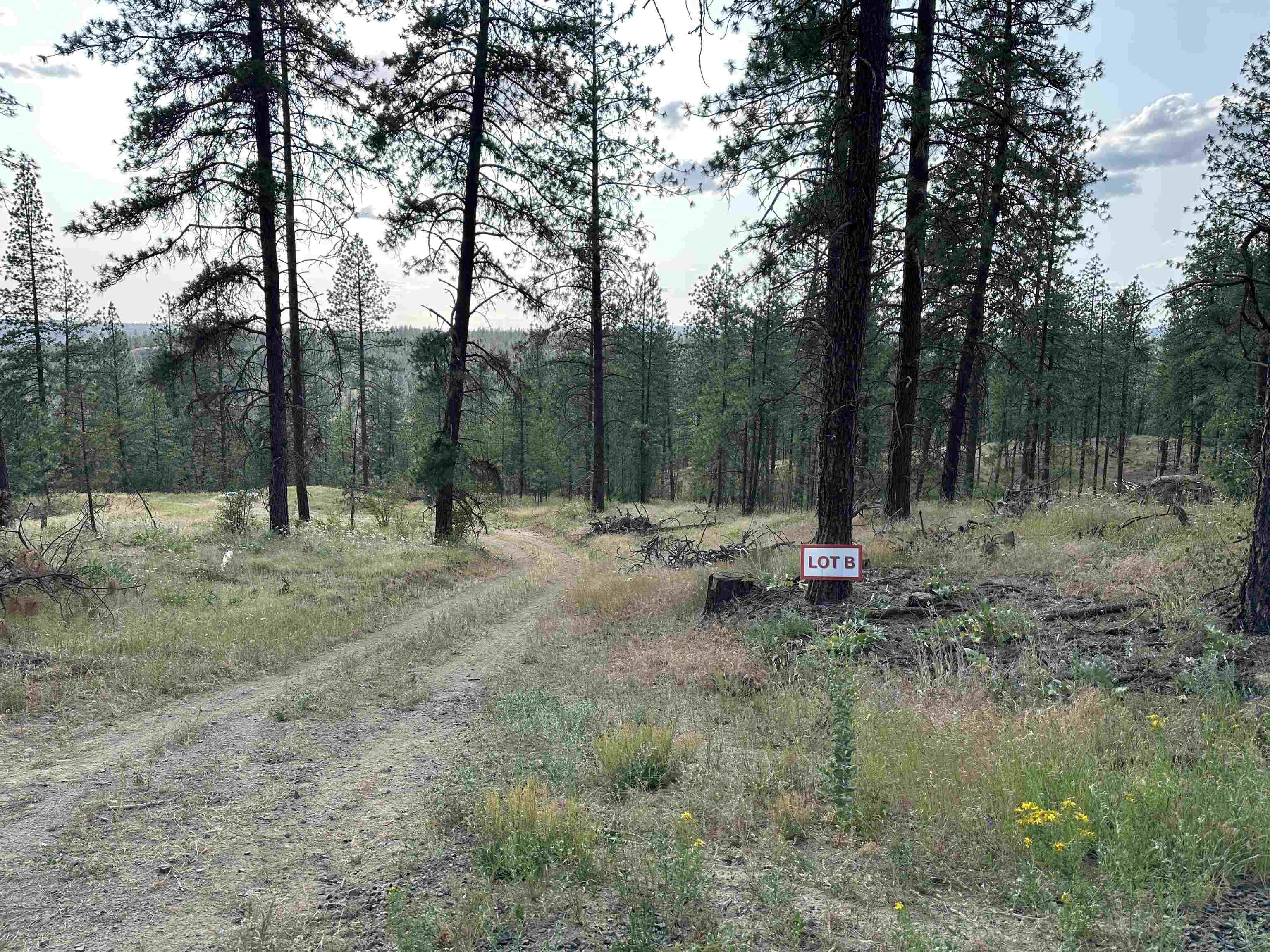 NKA Lower Weaver Way - Photo 4