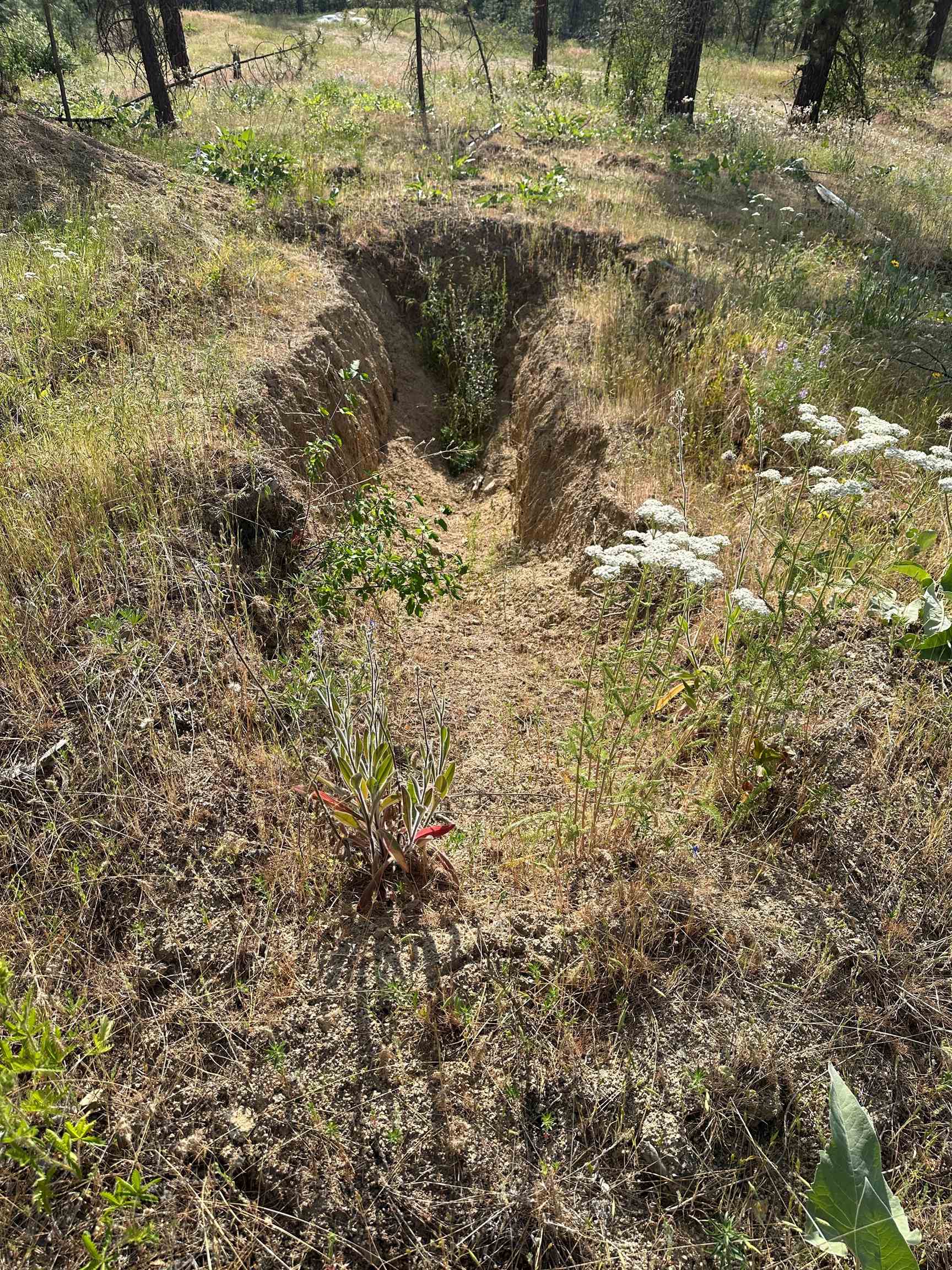 NKA Lower Weaver Way - Photo 9