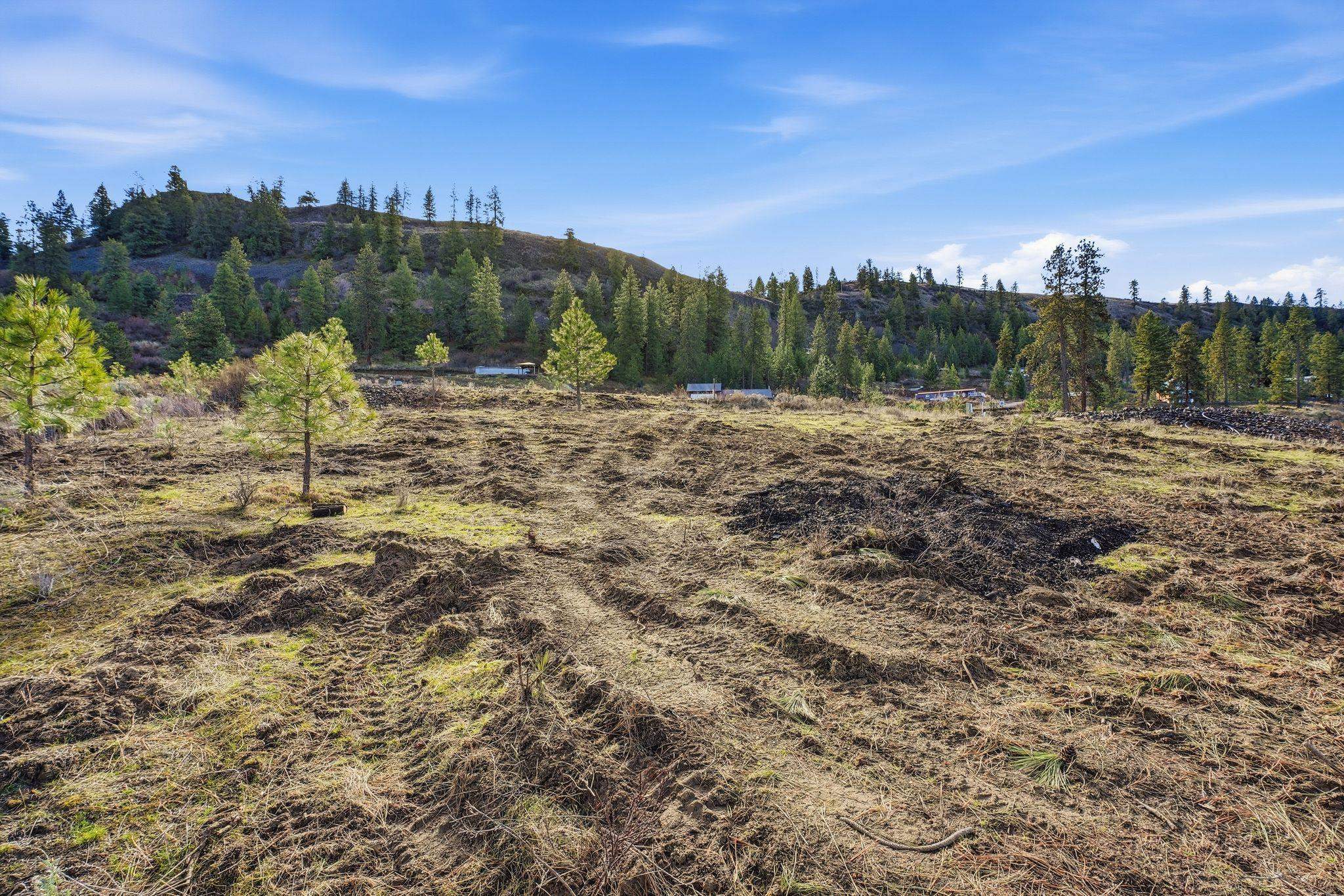 29895 Blue Sky Dr E - Photo 19