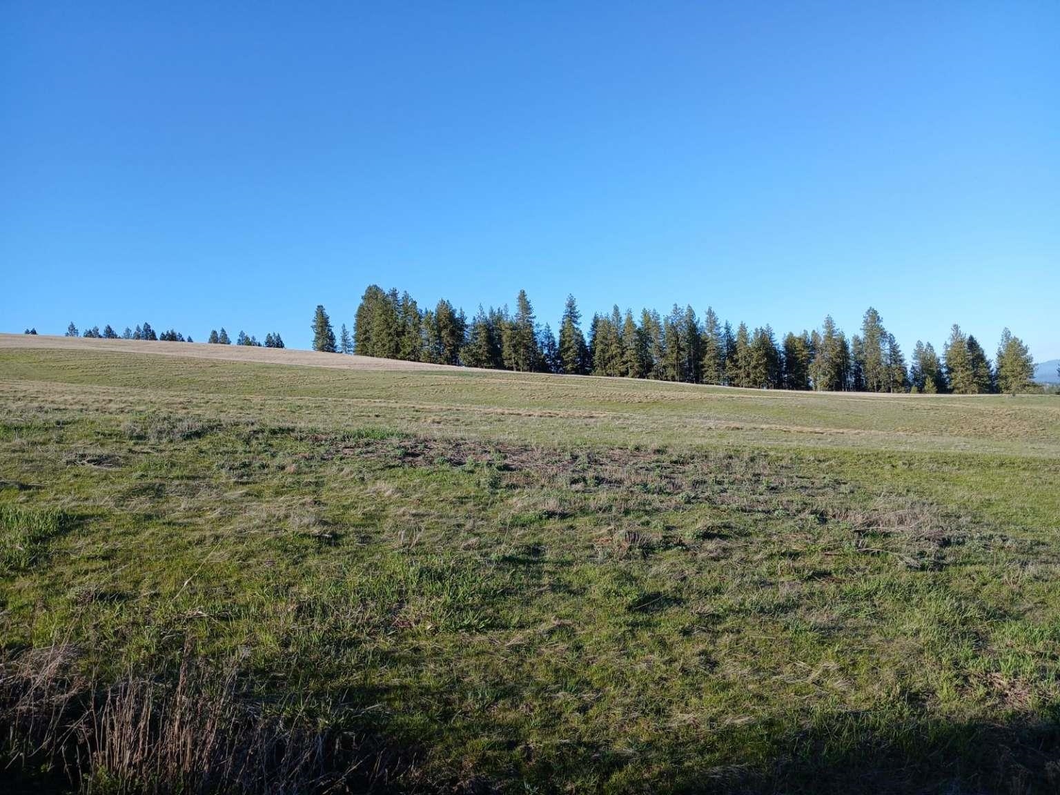 16419 N Dalton Rd - Photo 3