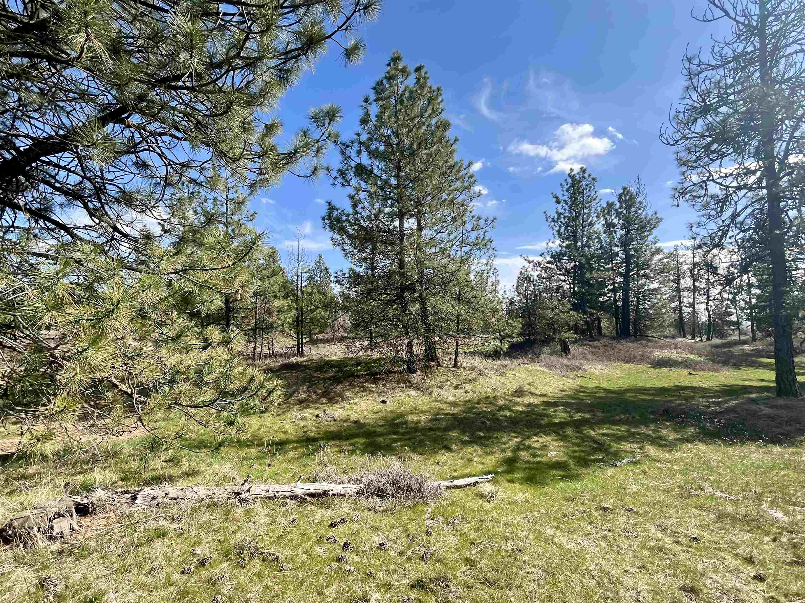 249015 W Kitt Rd - Photo 1
