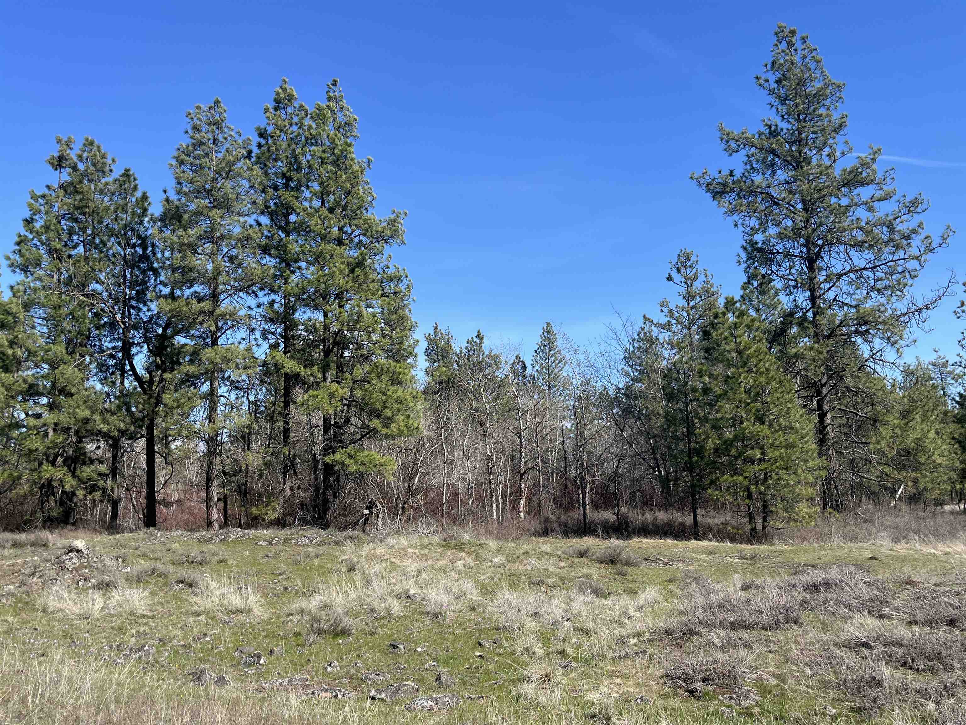 249015 W Kitt Rd - Photo 2