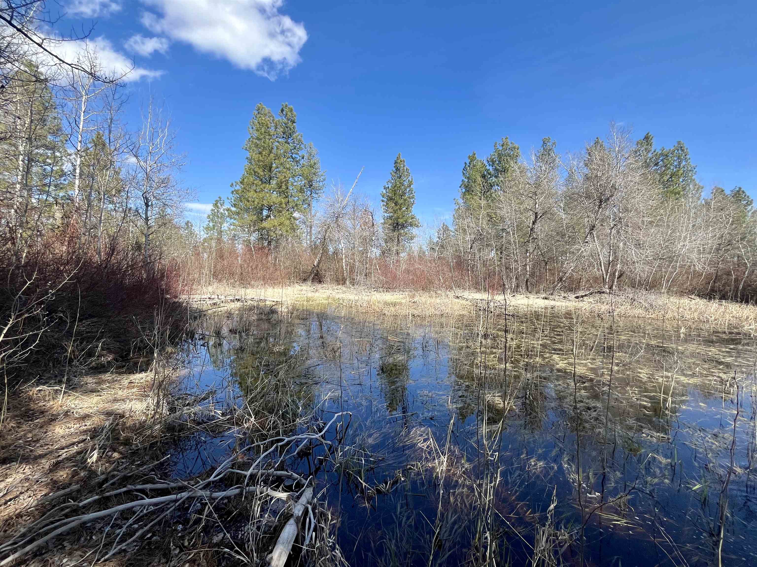 249015 W Kitt Rd - Photo 11