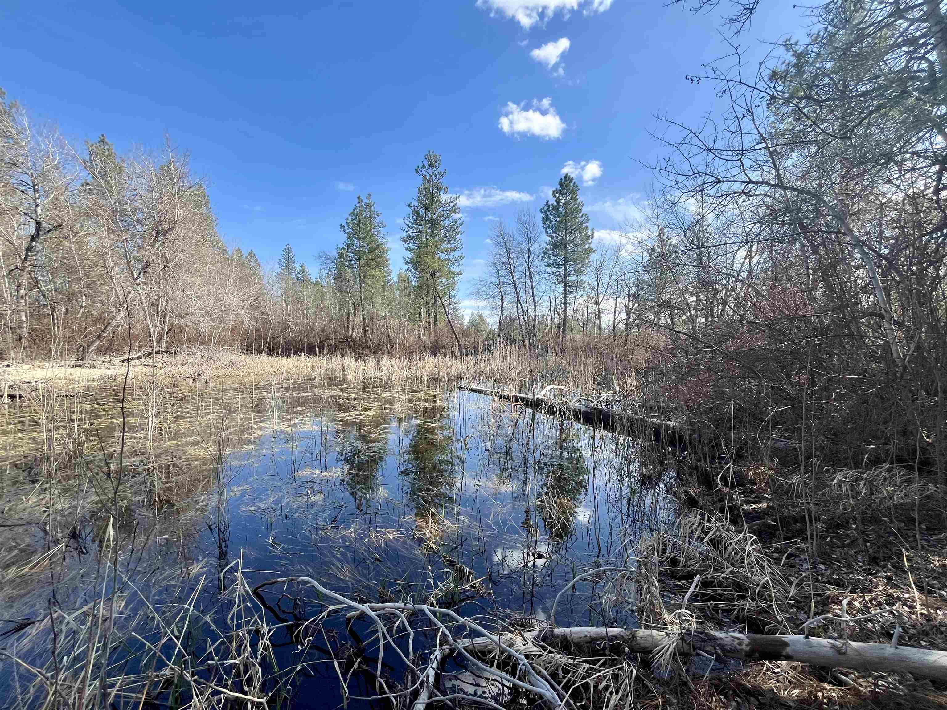249015 W Kitt Rd - Photo 12