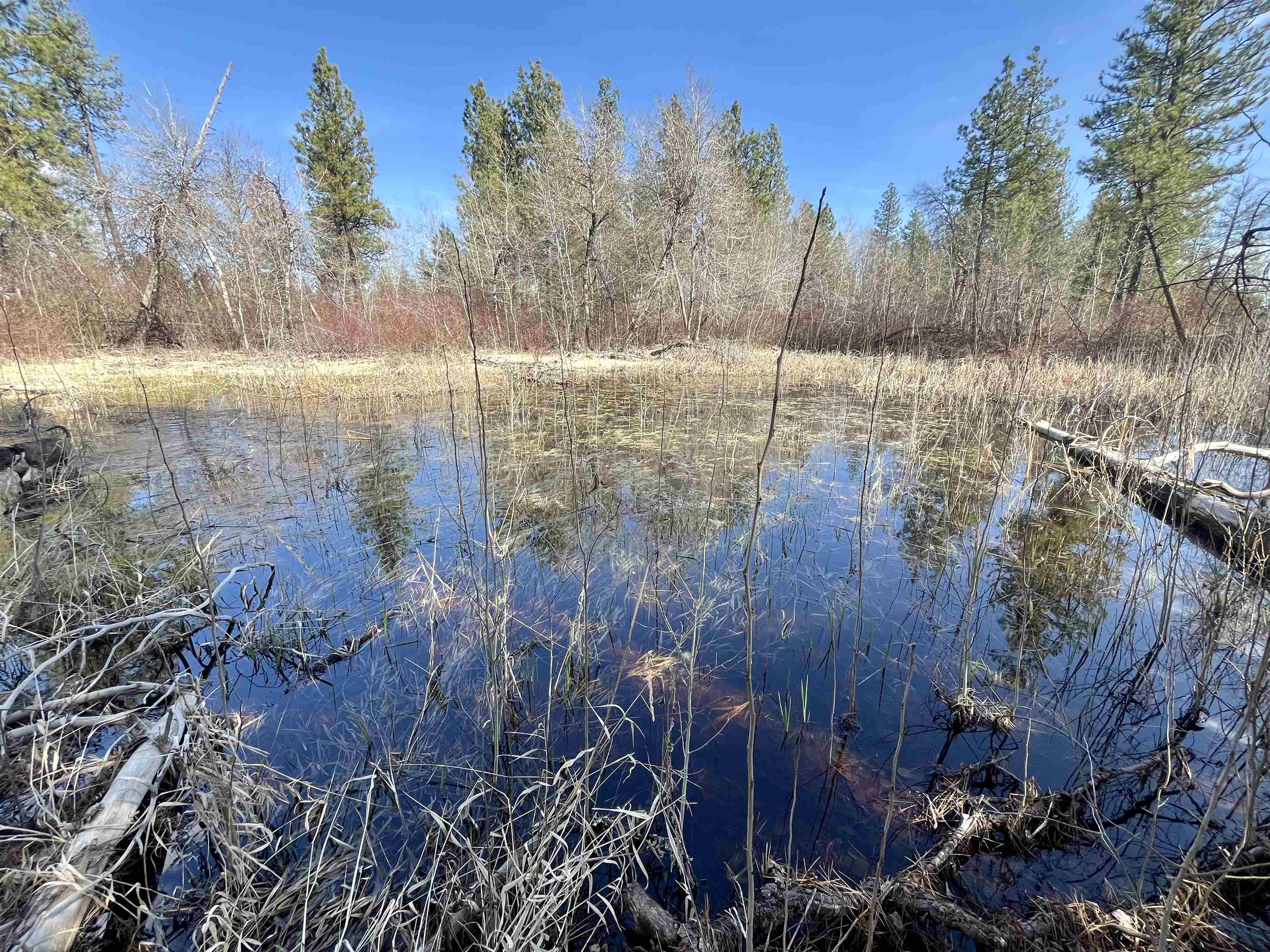 249015 W Kitt Rd - Photo 13