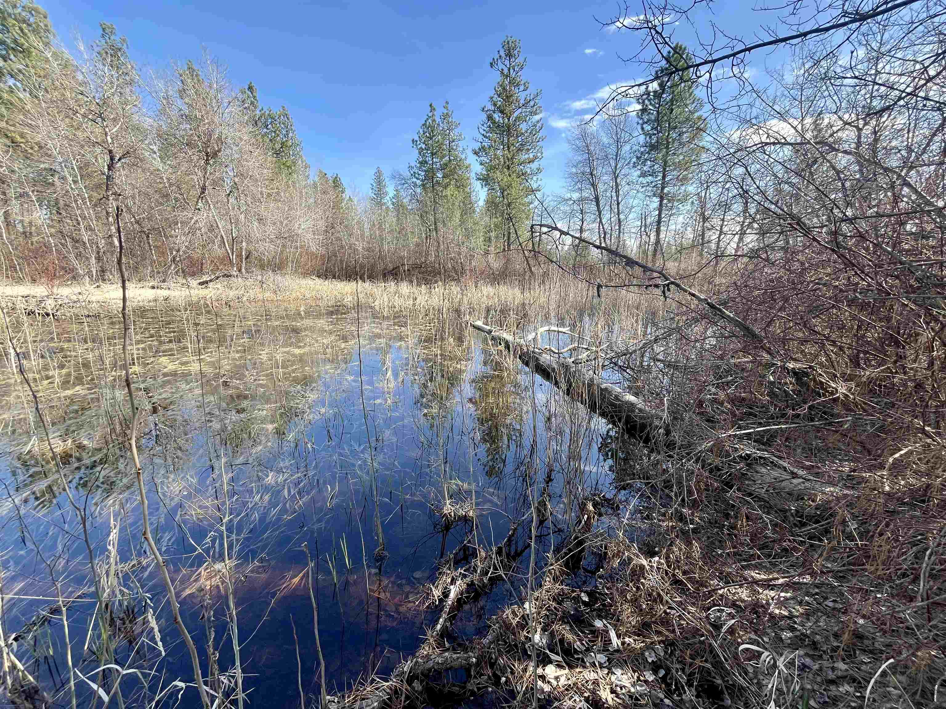 249015 W Kitt Rd - Photo 14