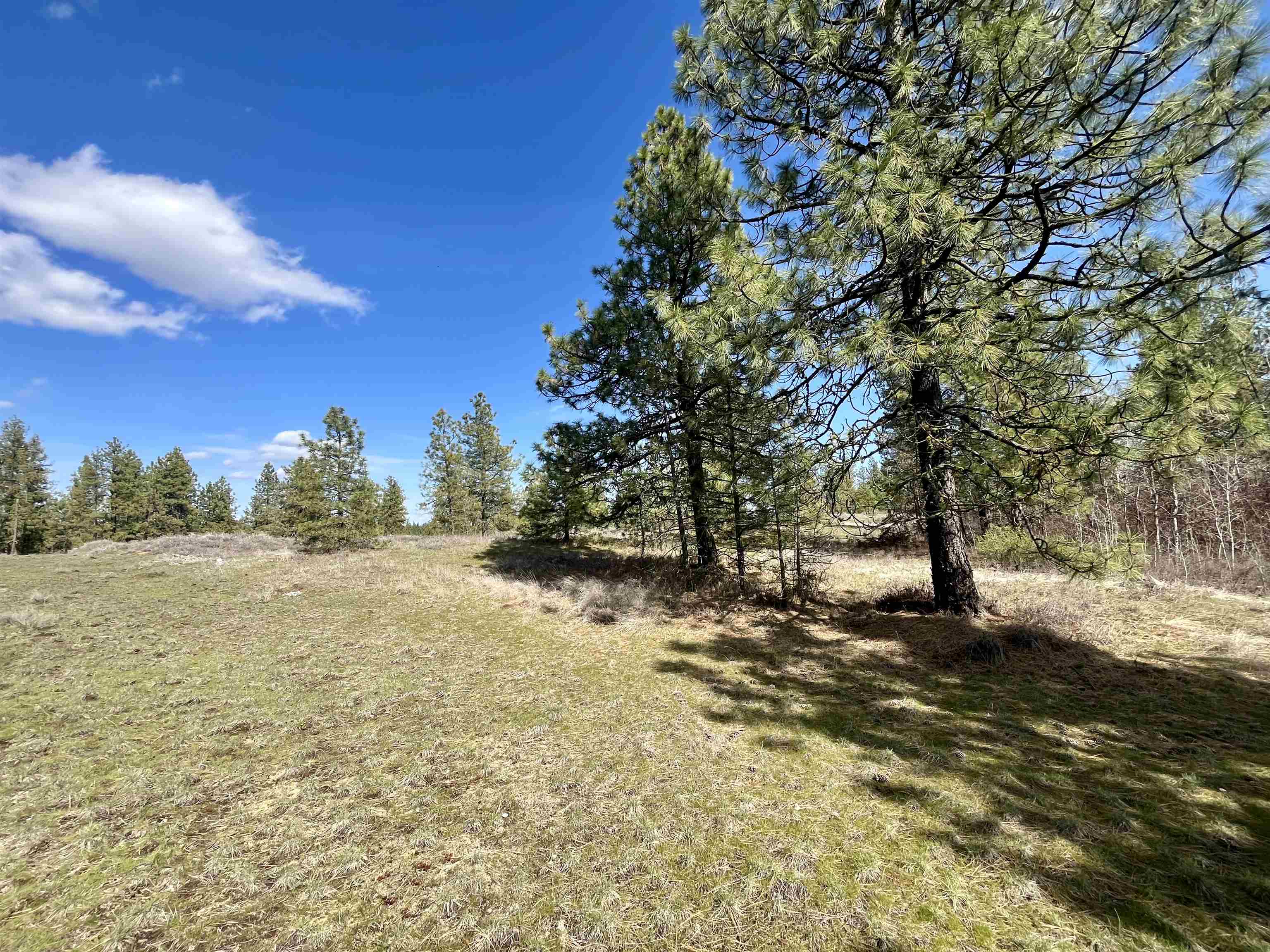 249015 W Kitt Rd - Photo 17