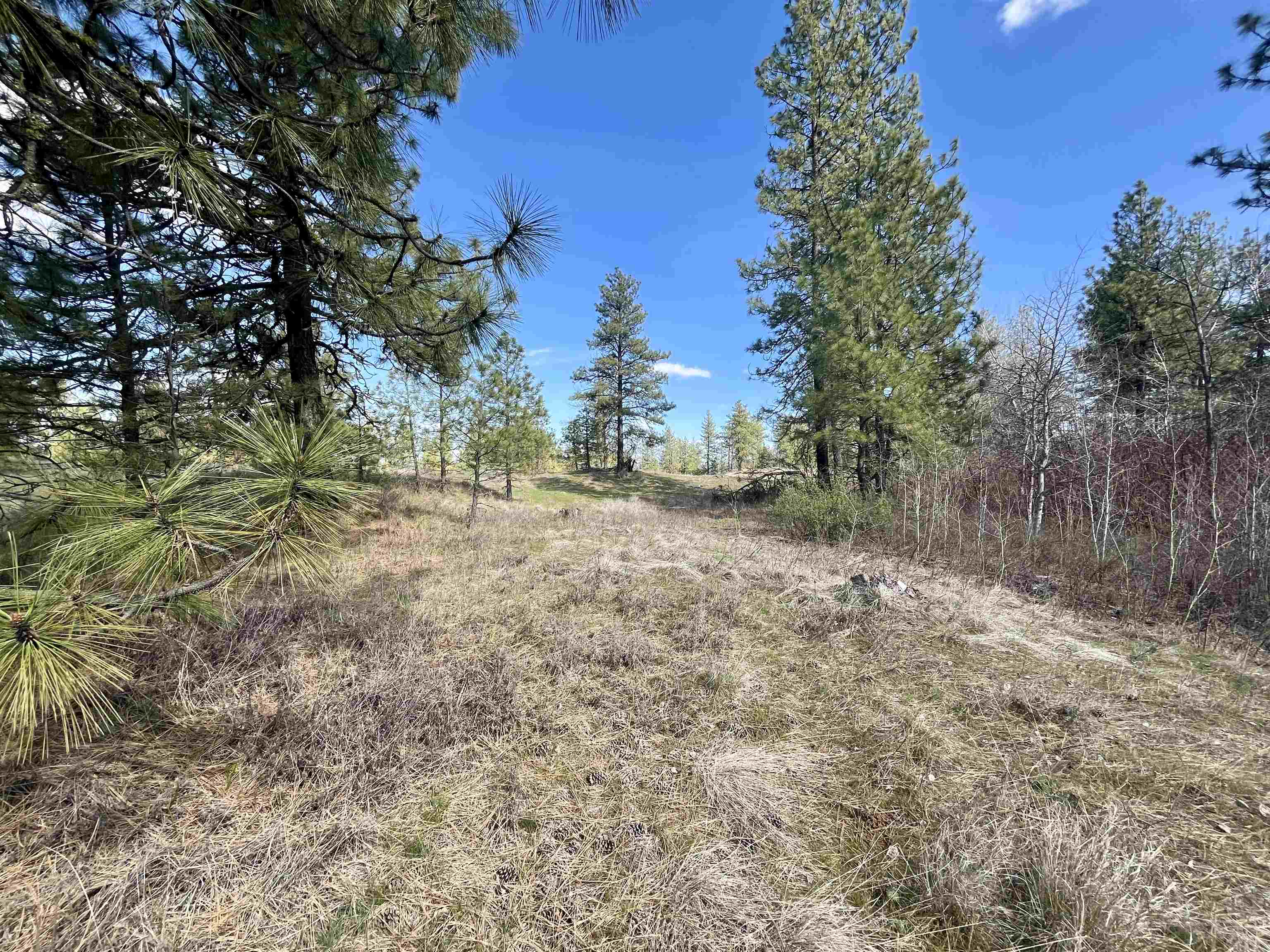 249015 W Kitt Rd - Photo 18