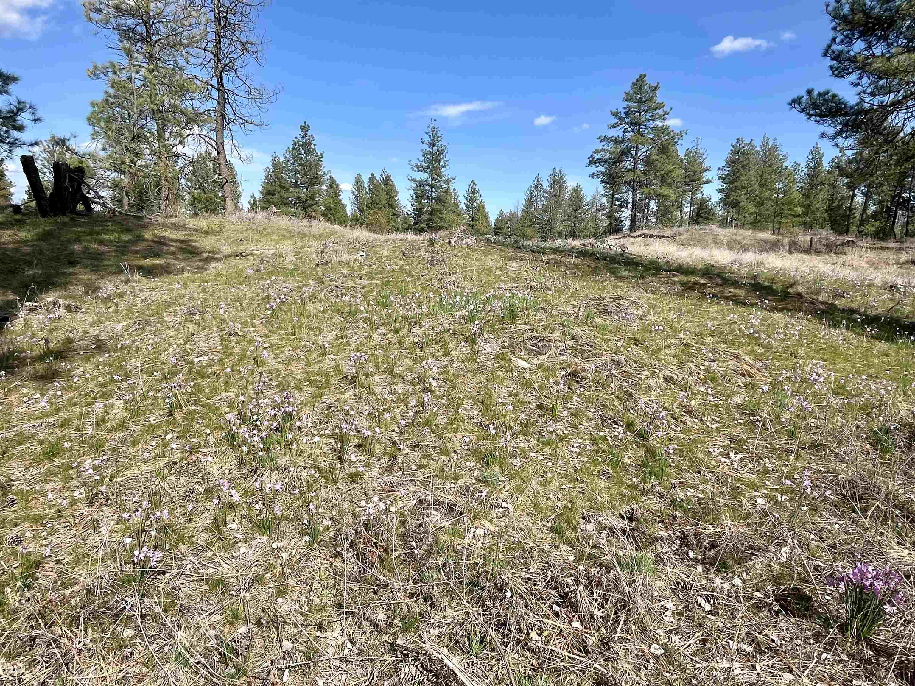 249015 W Kitt Rd - Photo 19