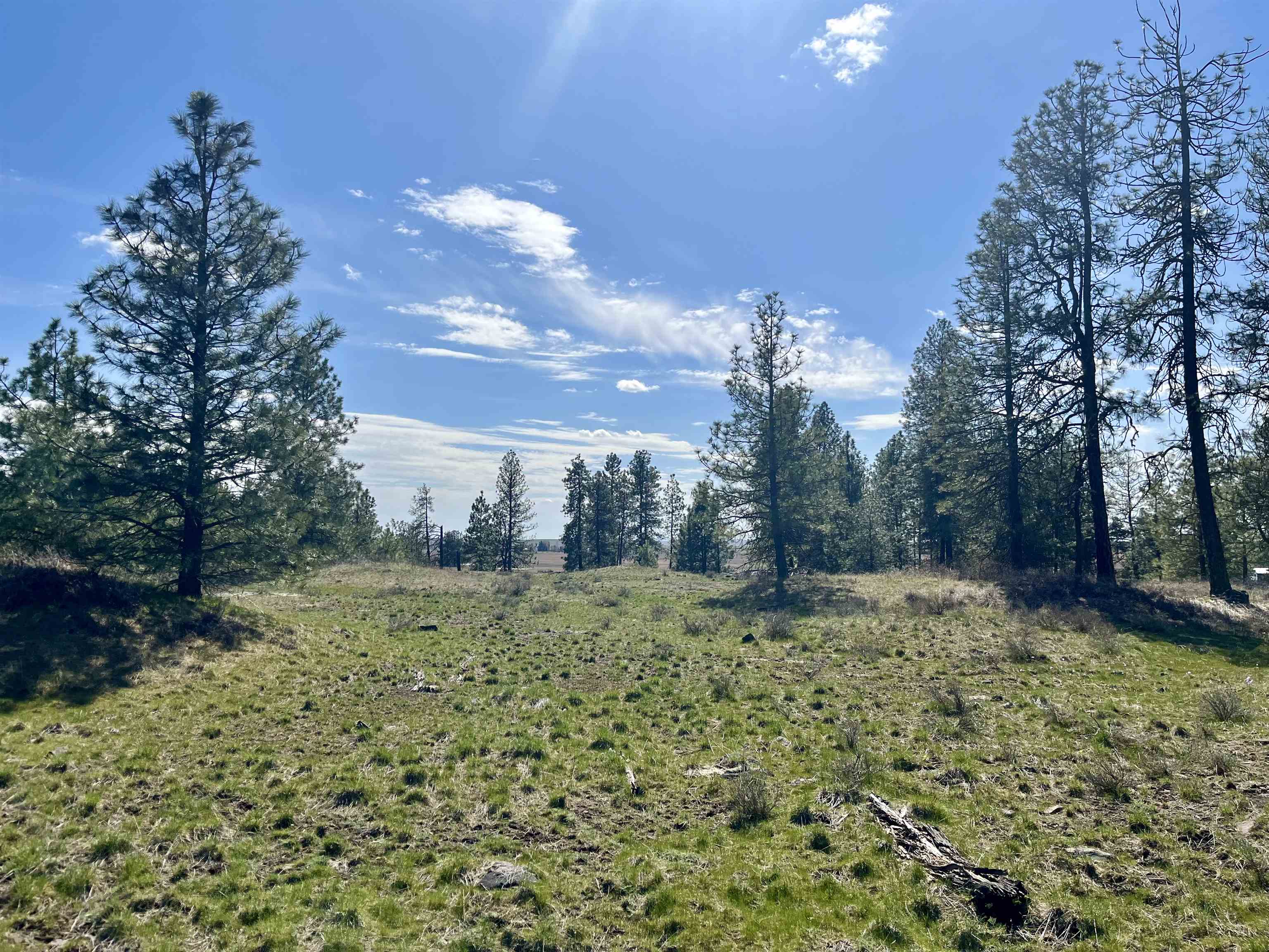 249015 W Kitt Rd - Photo 20