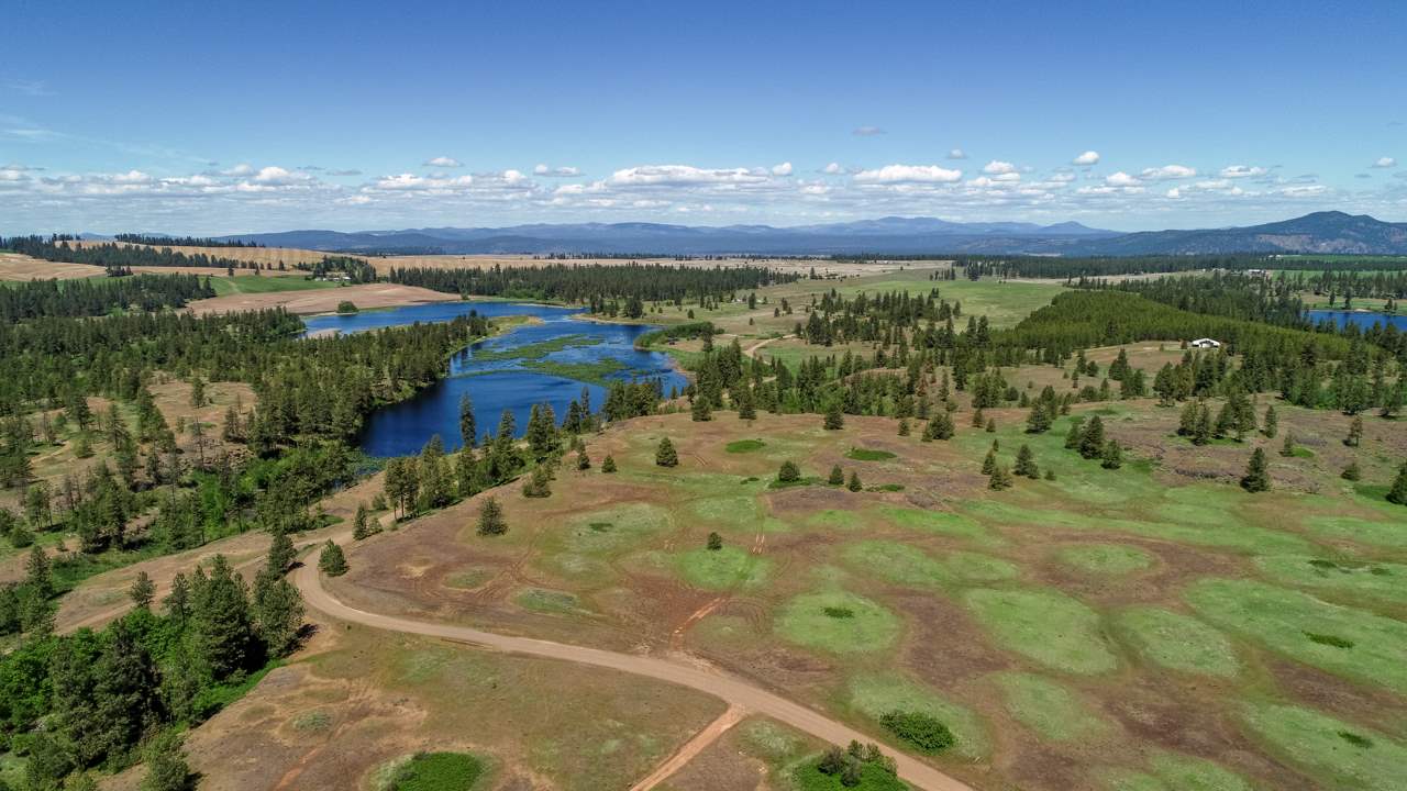 249015 W Kitt Rd - Photo 3