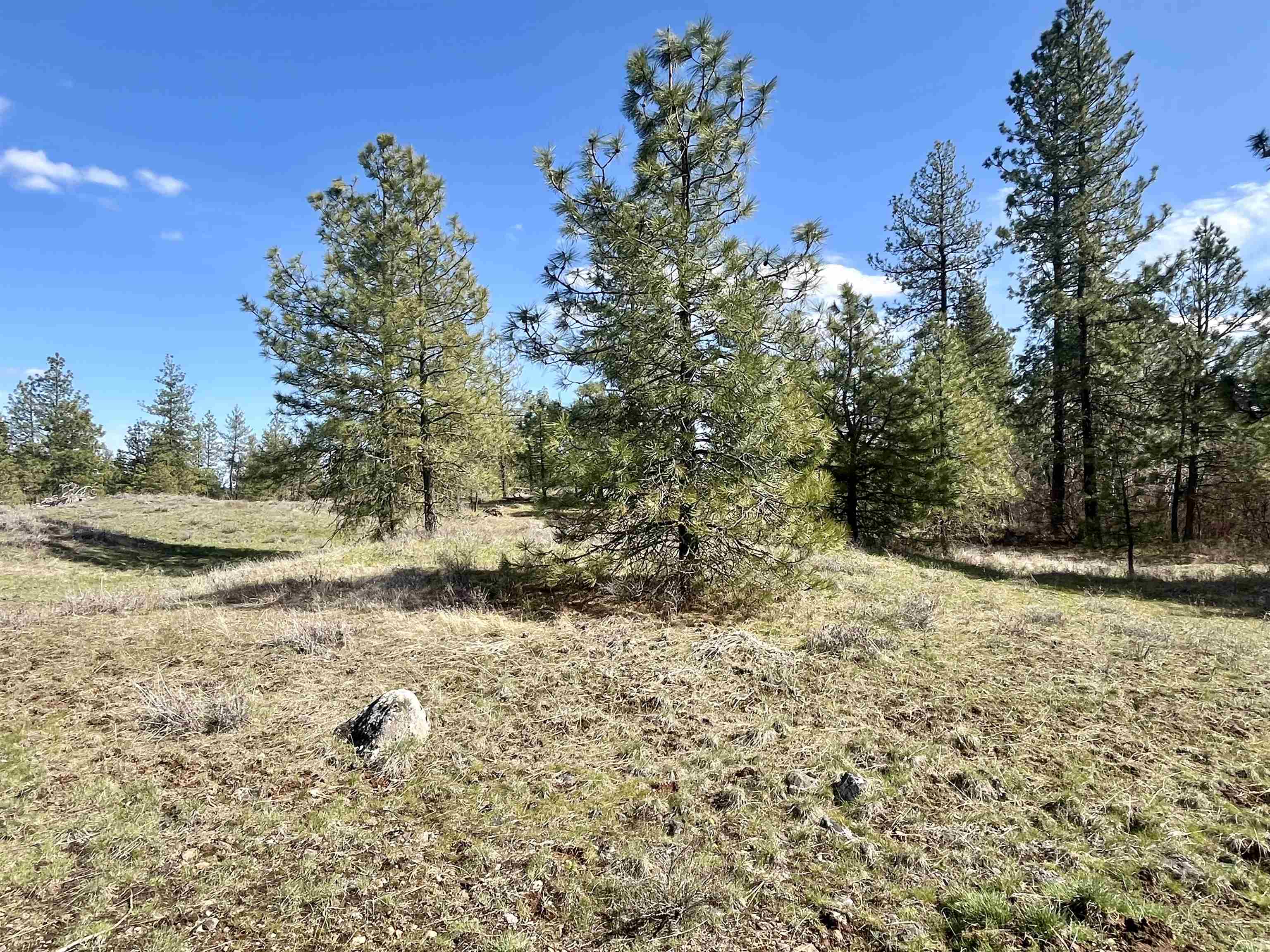 249015 W Kitt Rd - Photo 21