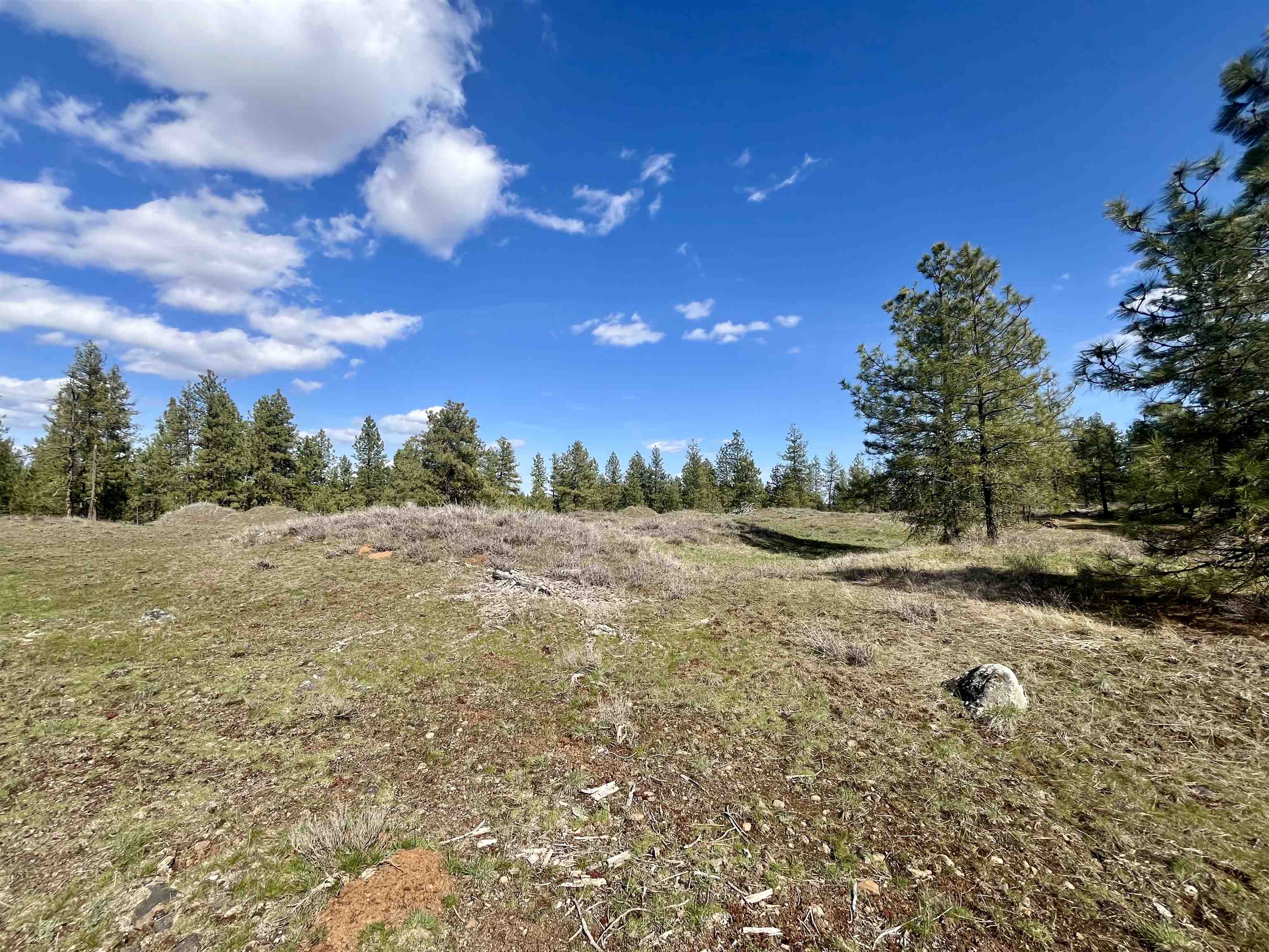 249015 W Kitt Rd - Photo 22