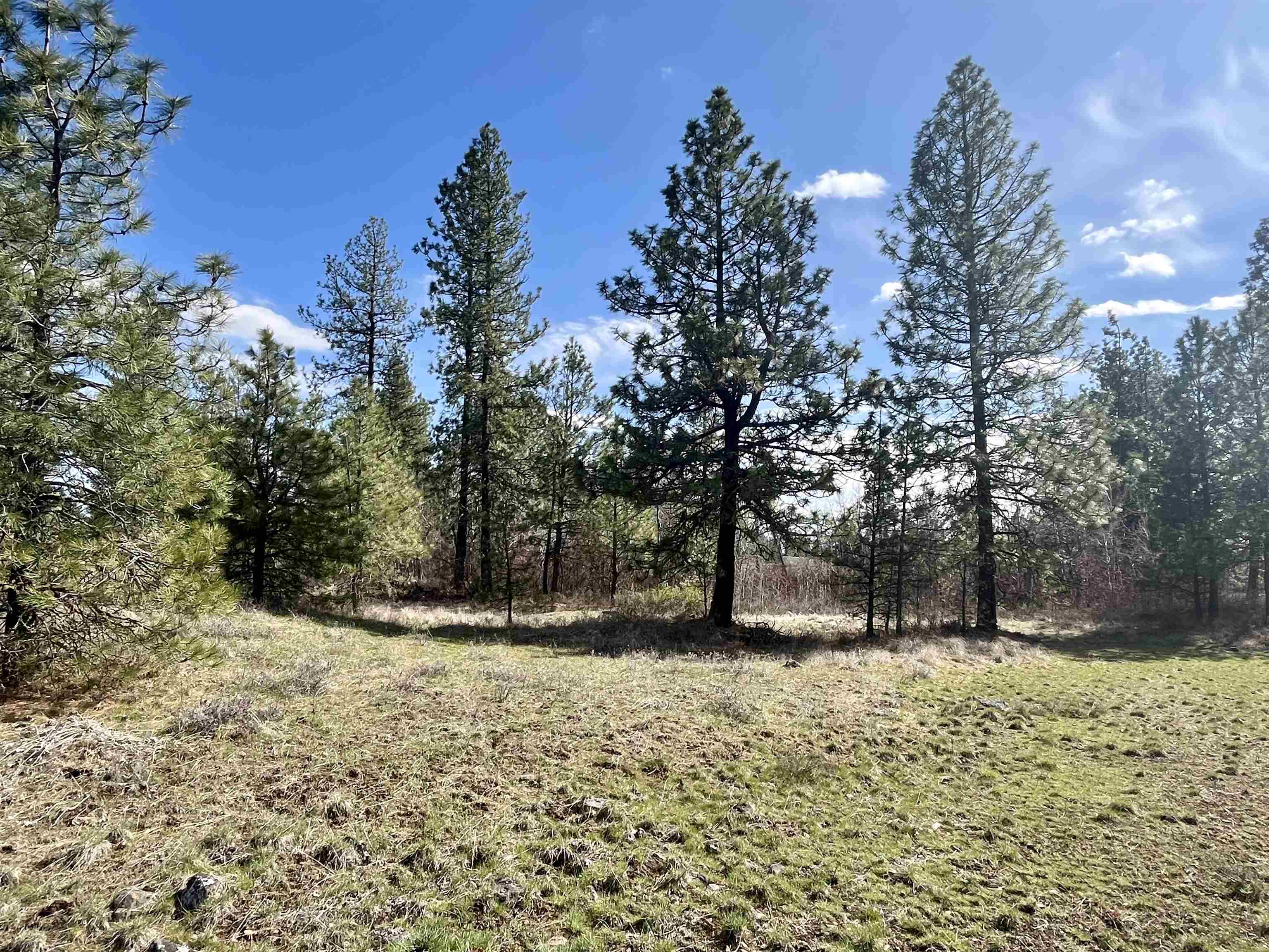 249015 W Kitt Rd - Photo 23