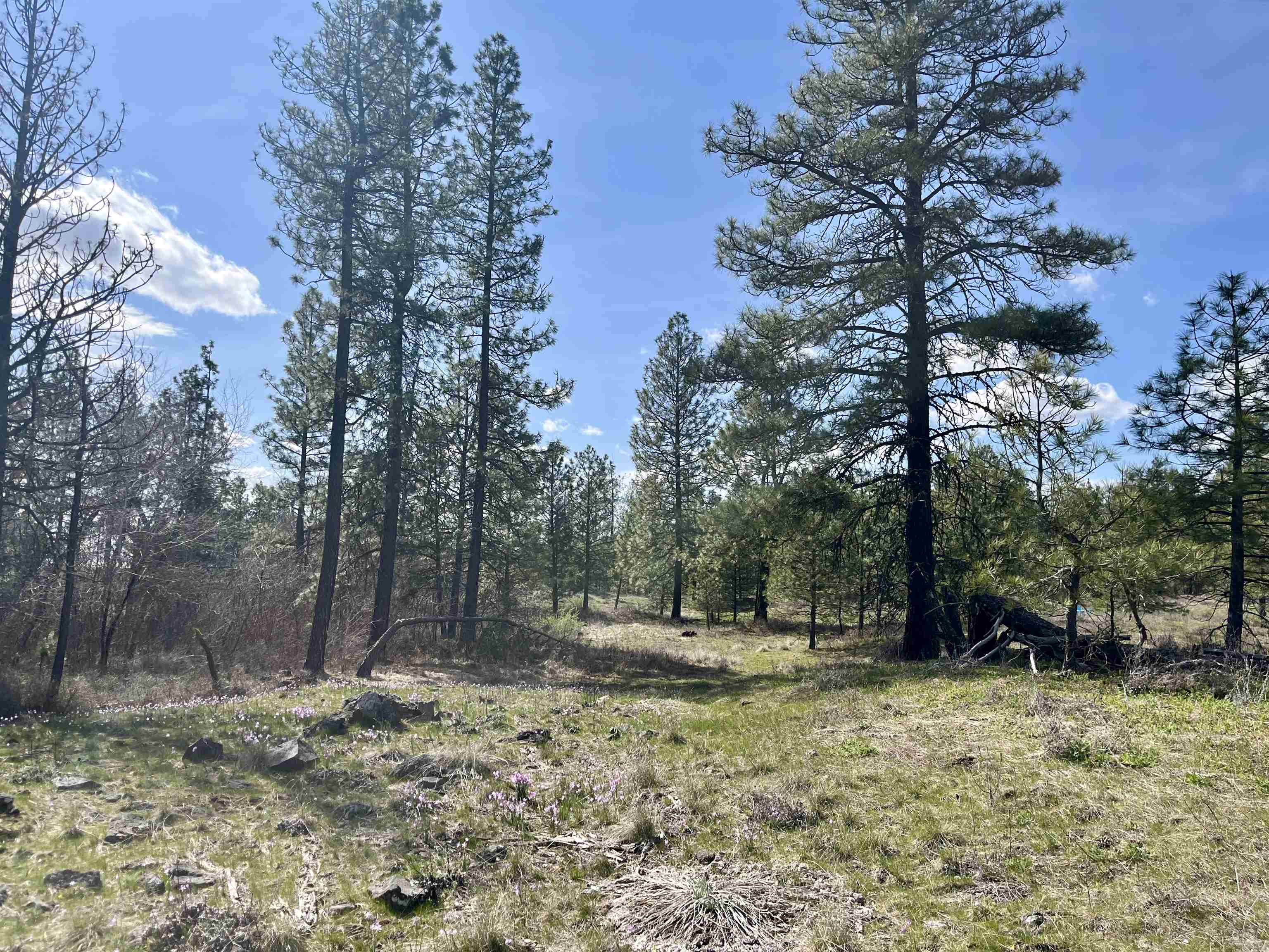 249015 W Kitt Rd - Photo 24