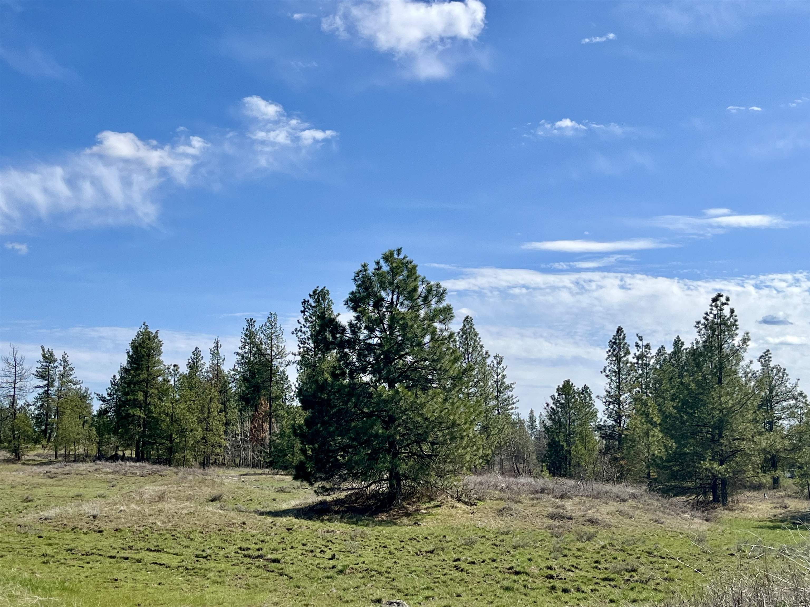 249015 W Kitt Rd - Photo 25
