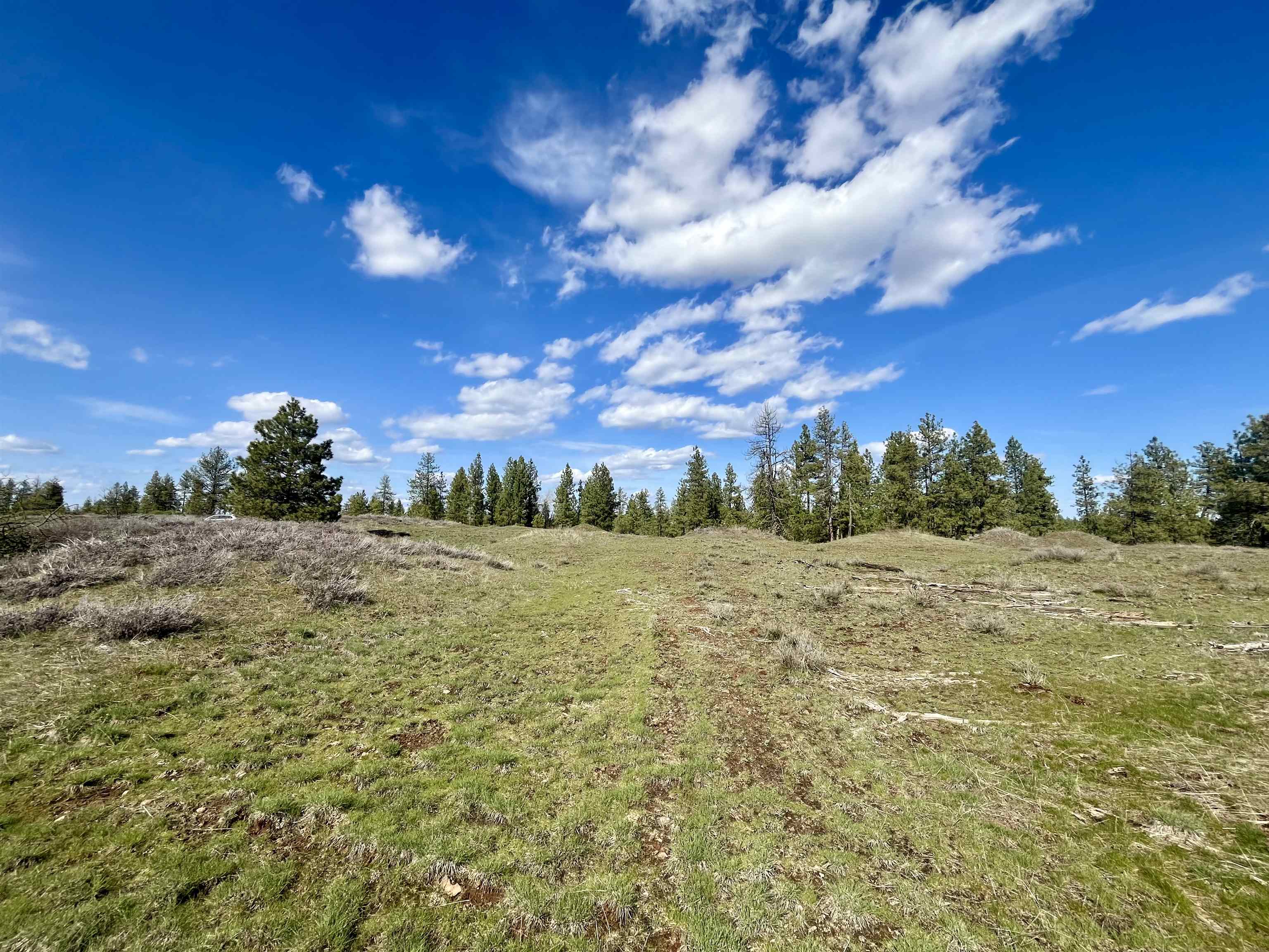 249015 W Kitt Rd - Photo 26