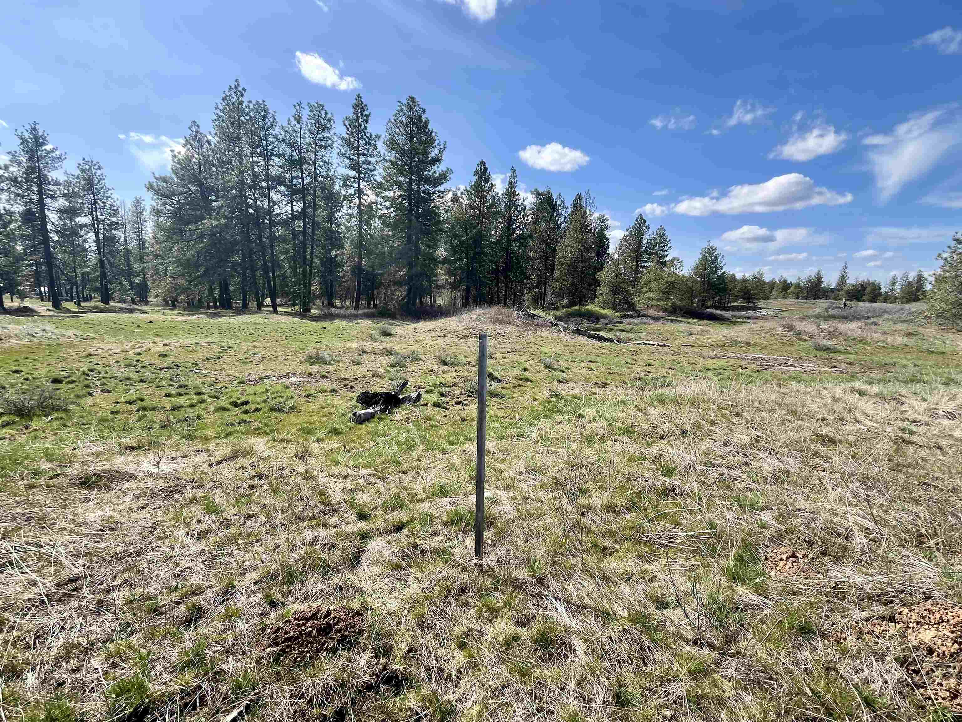 249015 W Kitt Rd - Photo 27