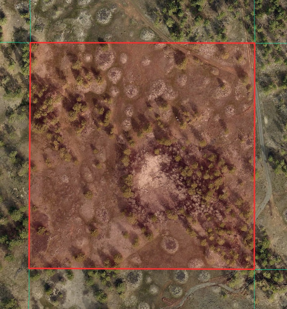 249015 W Kitt Rd - Photo 5