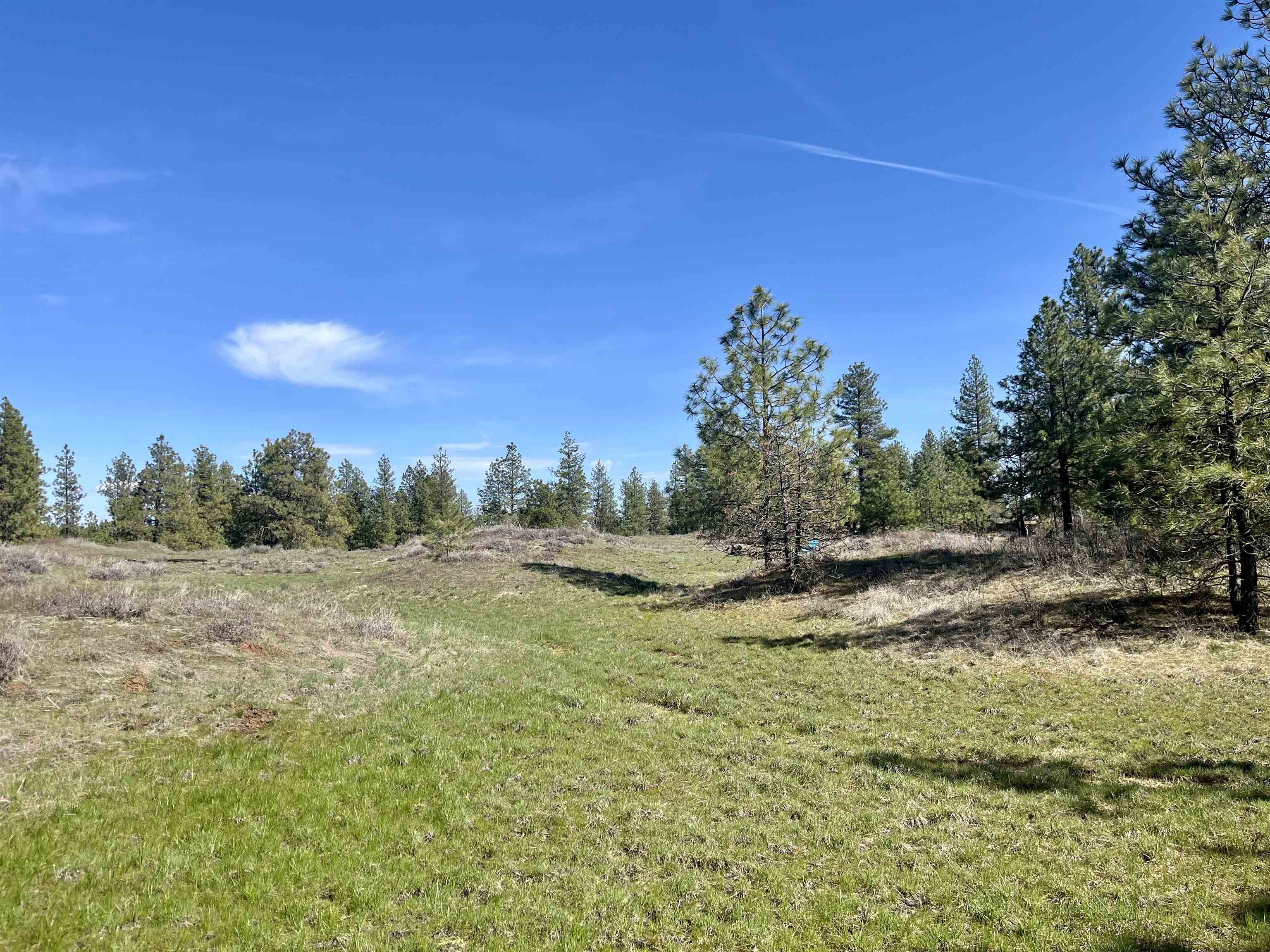 249015 W Kitt Rd - Photo 7