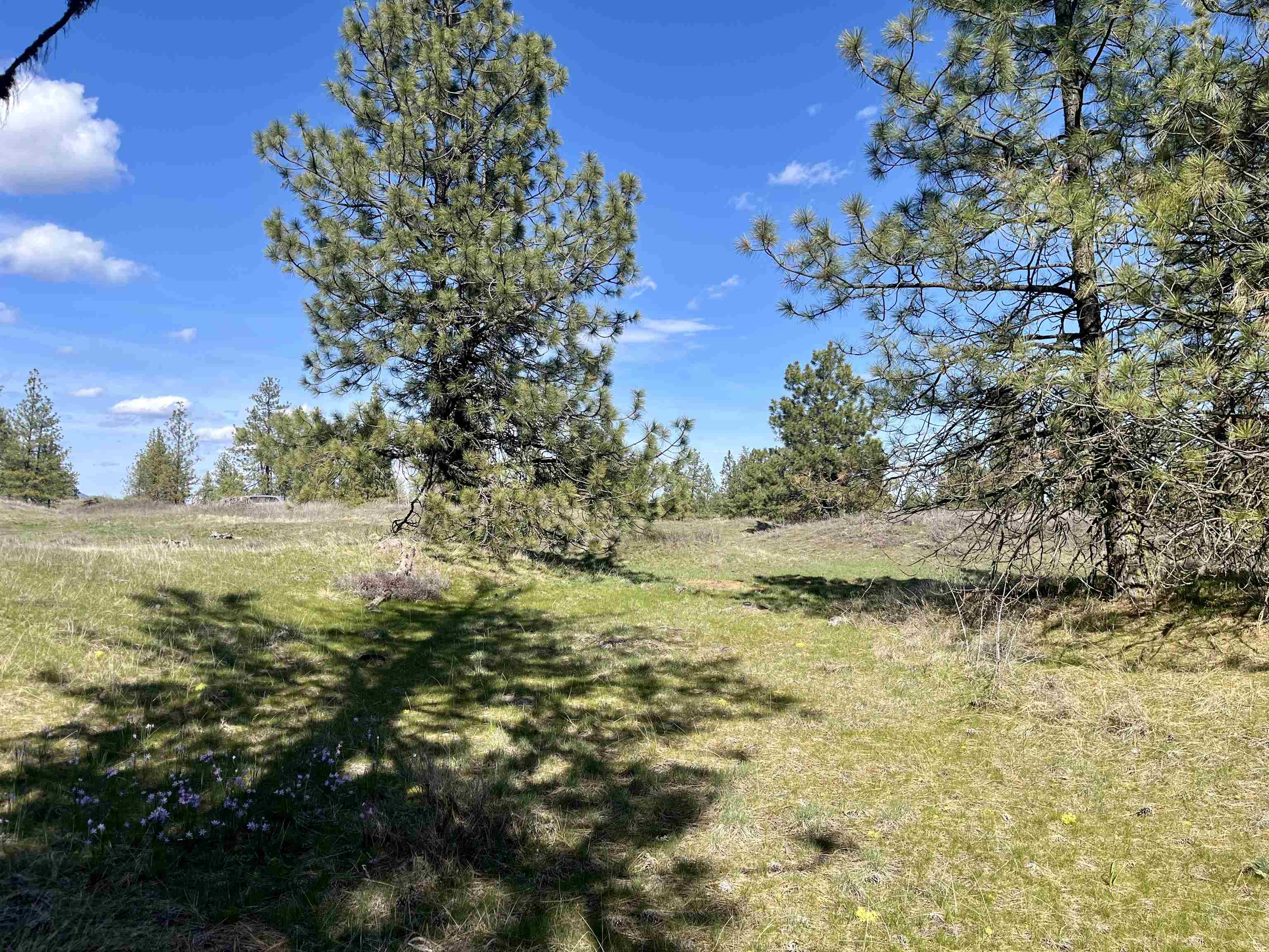 249015 W Kitt Rd - Photo 8