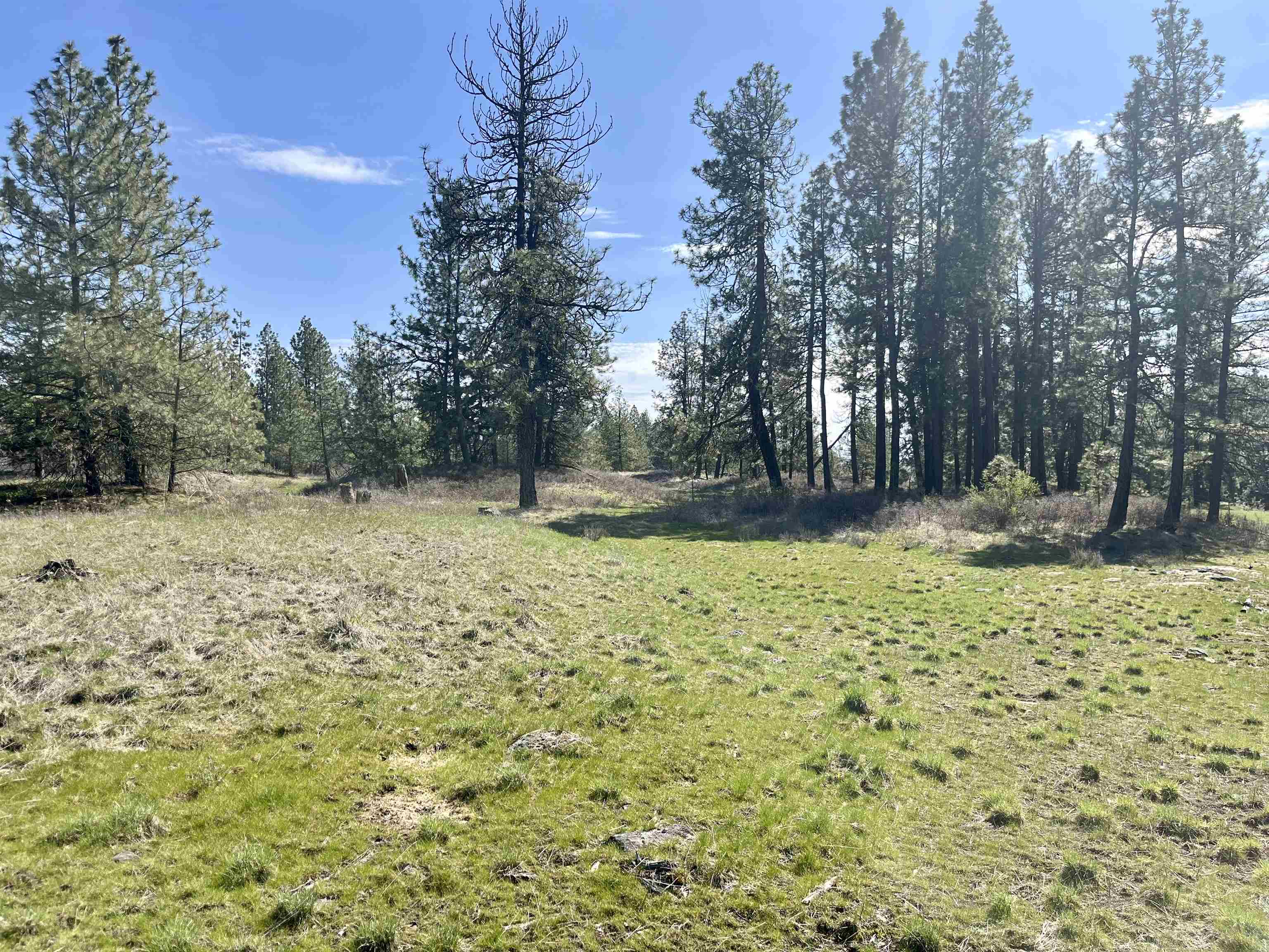 249015 W Kitt Rd - Photo 9
