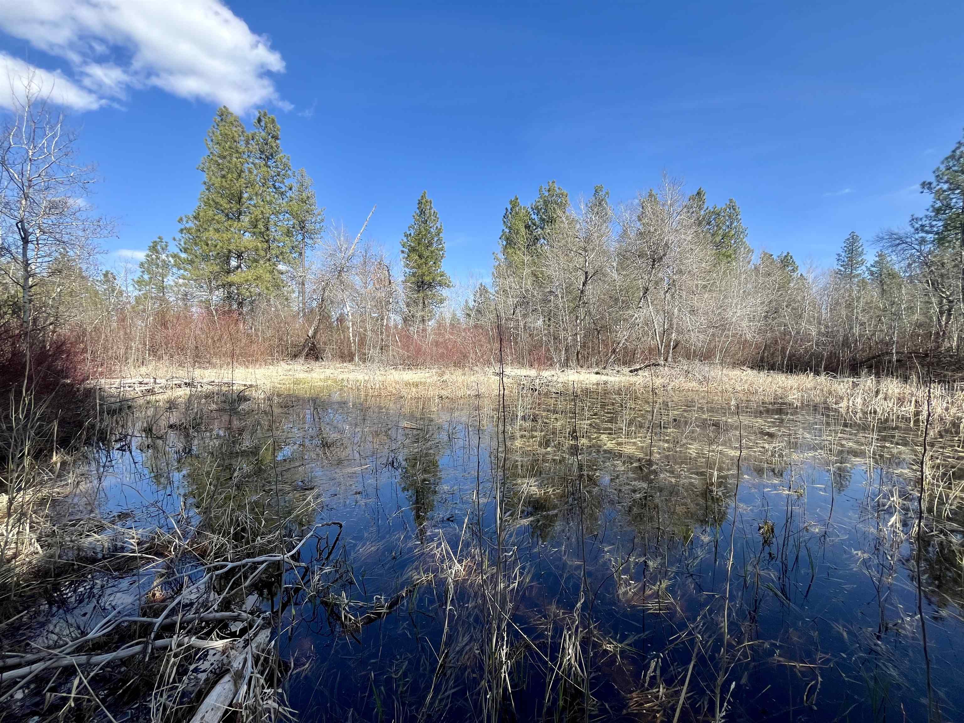 249015 W Kitt Rd - Photo 10