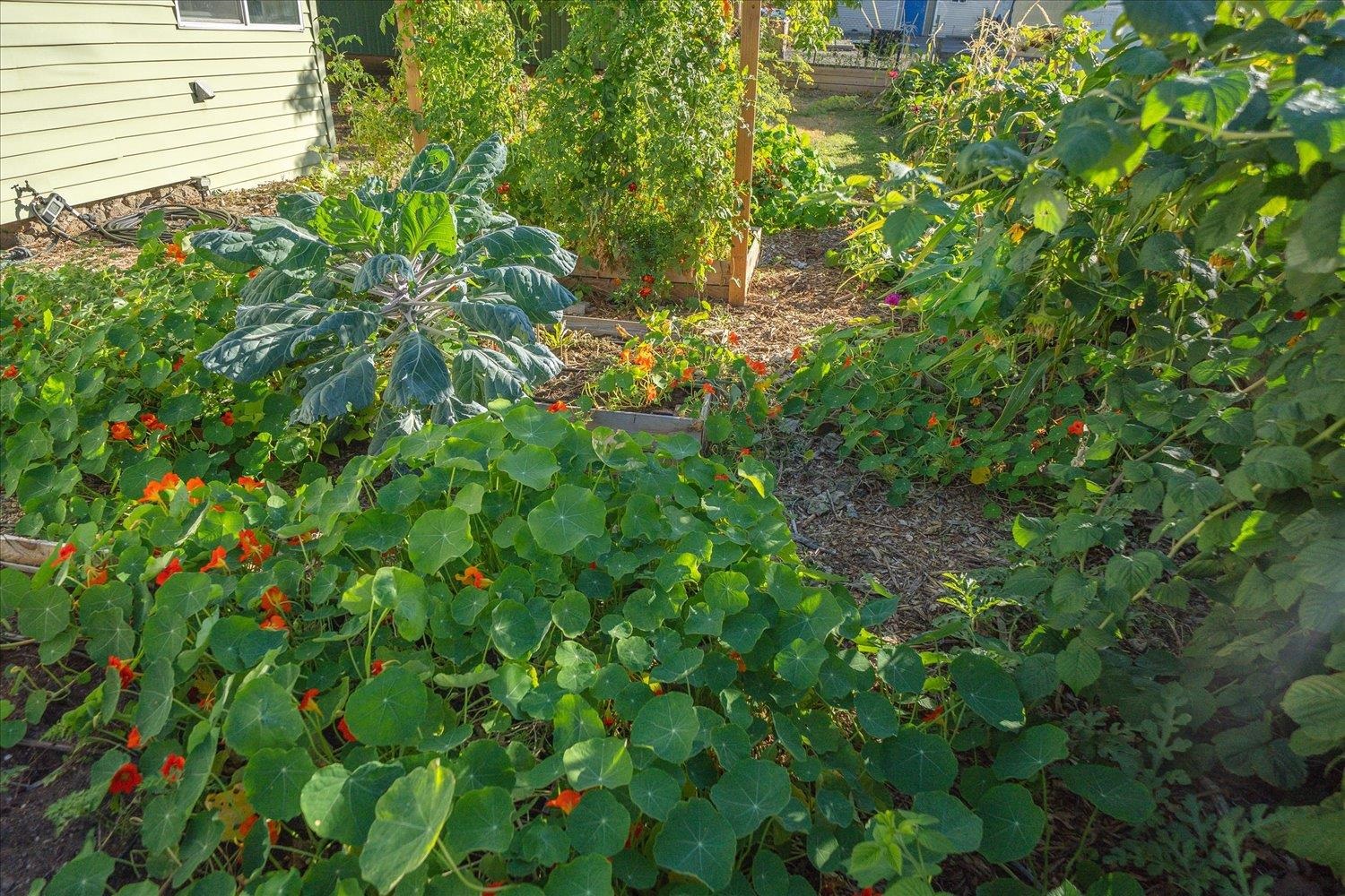 2914 E 34th Ave - Photo 36