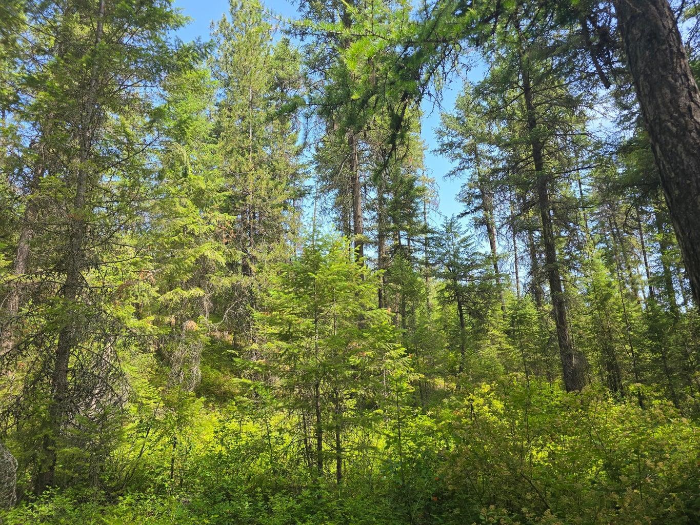 TBD 395 Hwy - Photo 2