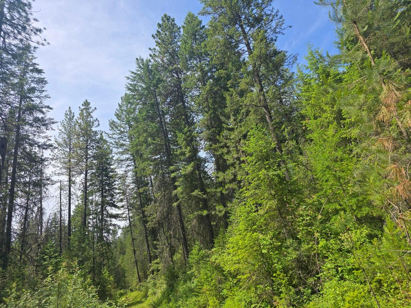TBD 395 Hwy - Photo 12