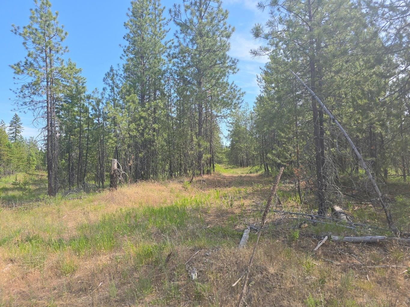 TBD 395 Hwy - Photo 14