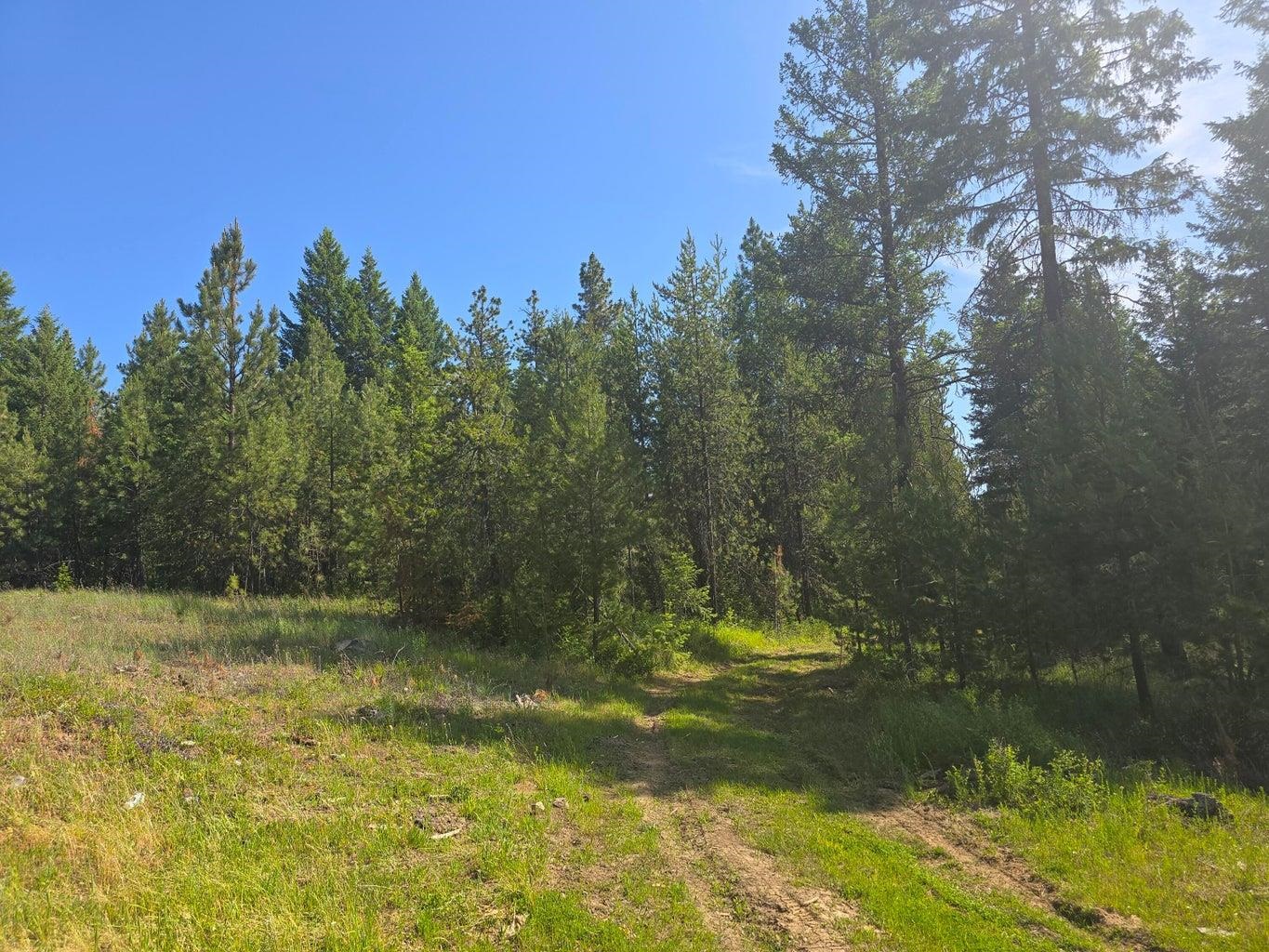 TBD 395 Hwy - Photo 15