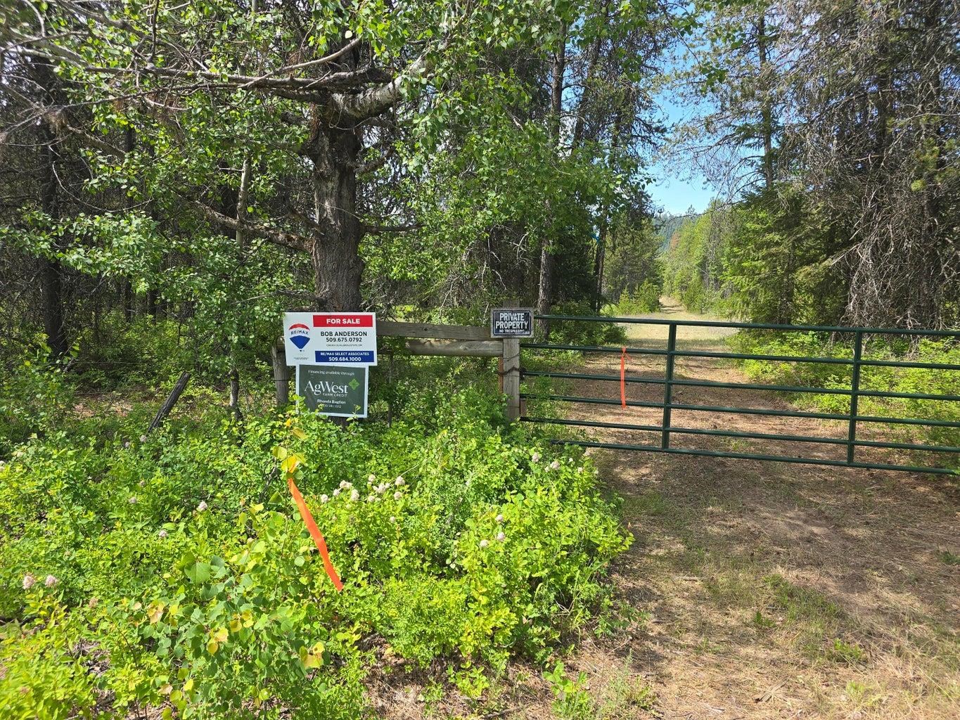 TBD 395 Hwy - Photo 16