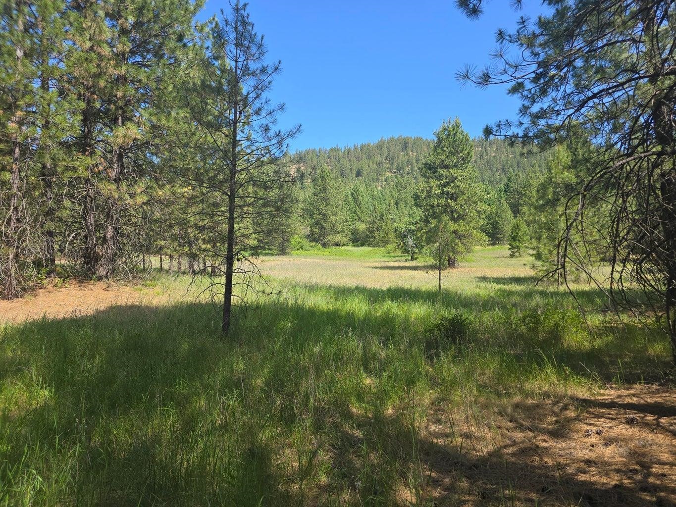 TBD 395 Hwy - Photo 3