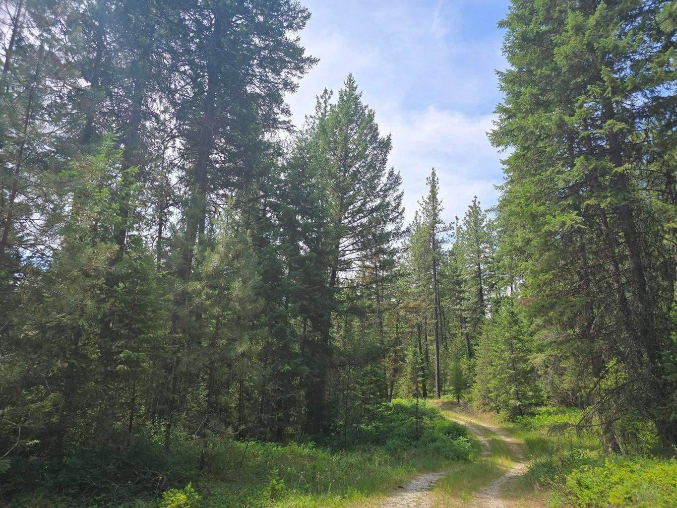 TBD 395 Hwy - Photo 5