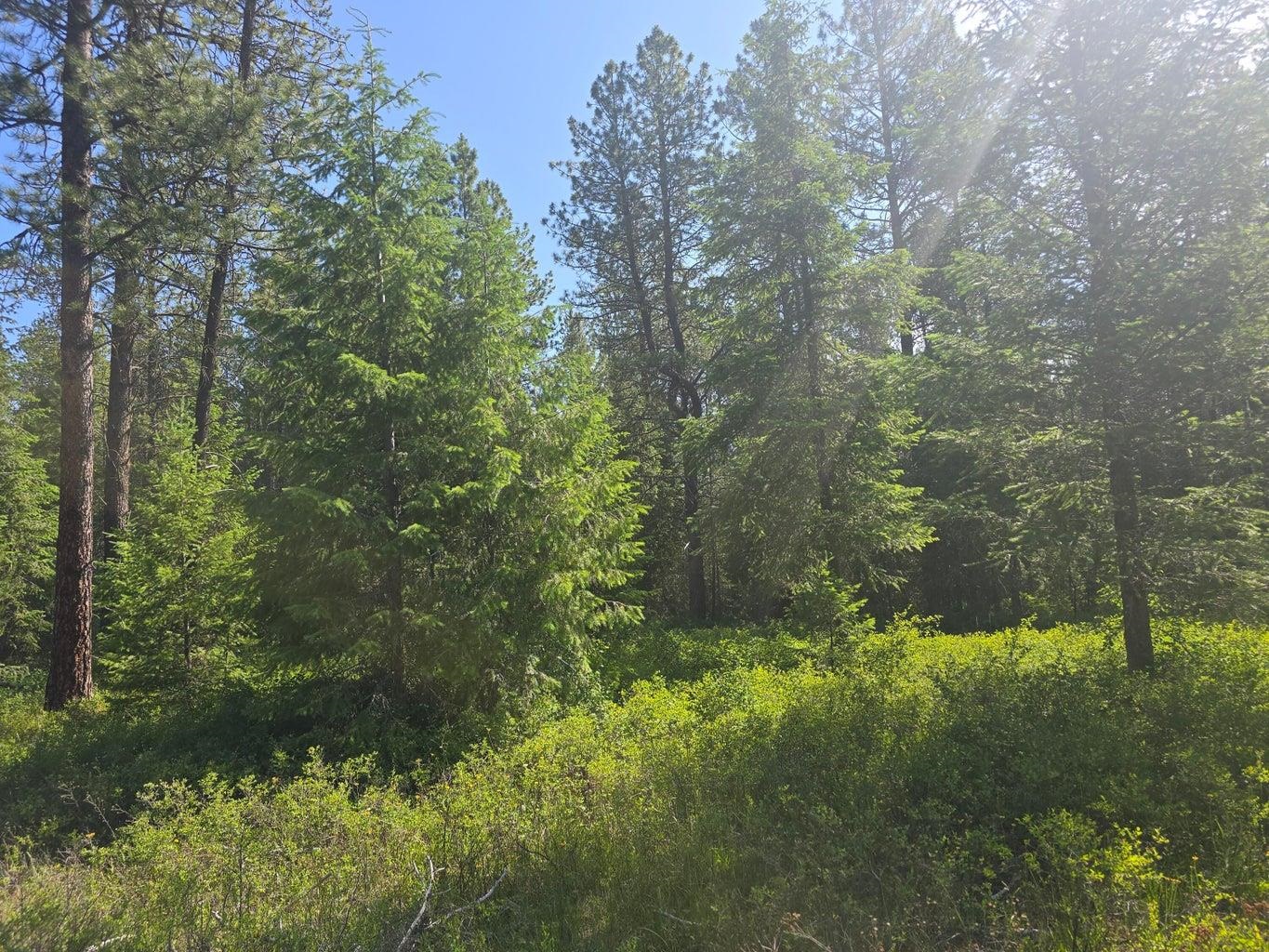 TBD 395 Hwy - Photo 7
