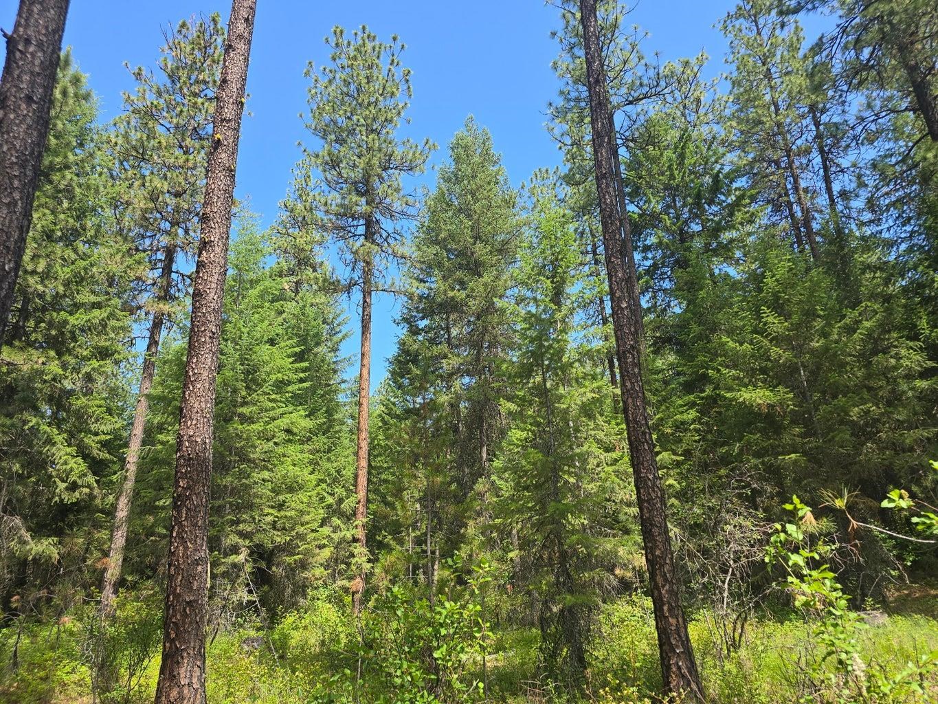 TBD 395 Hwy - Photo 8