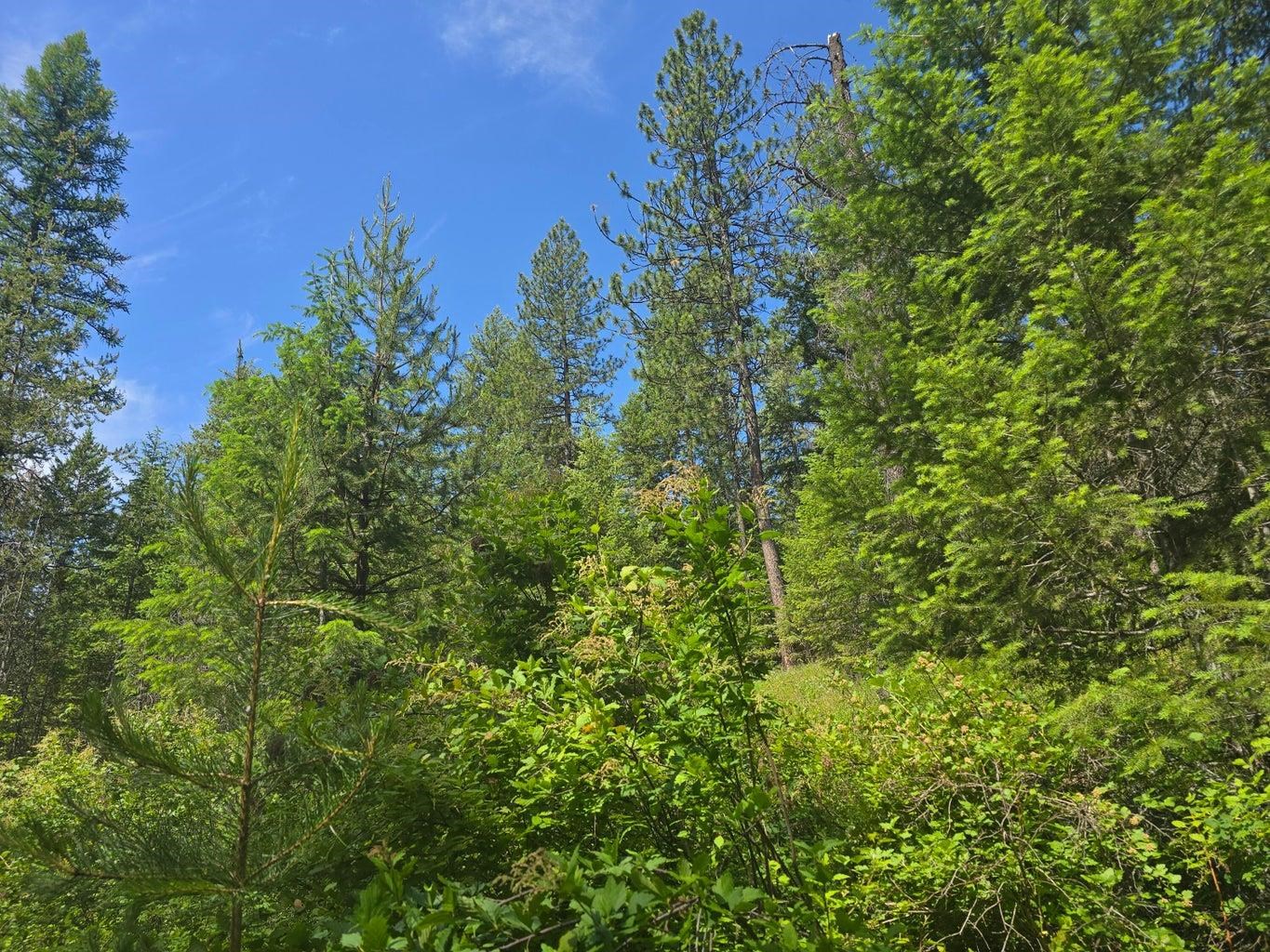 TBD 395 Hwy - Photo 10