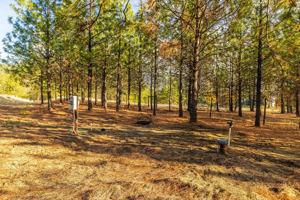 13601 N RIVERBLUFF Ln - Photo 11