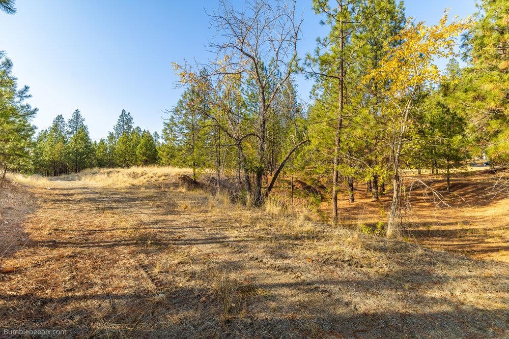 13601 N RIVERBLUFF Ln - Photo 22