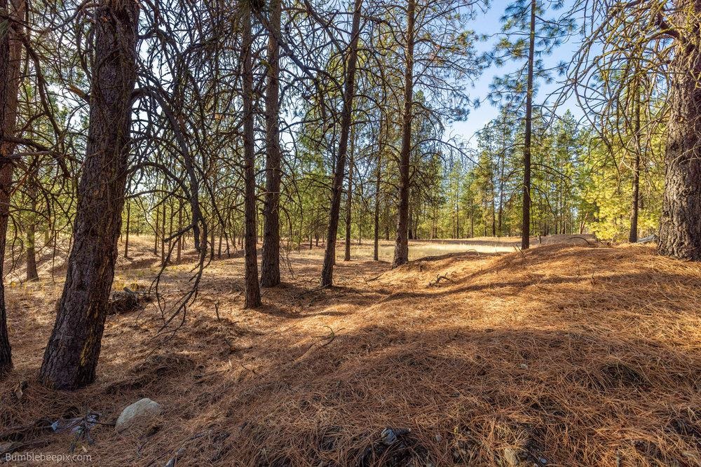 13601 N RIVERBLUFF Ln - Photo 4