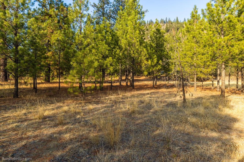 13601 N RIVERBLUFF Ln - Photo 6