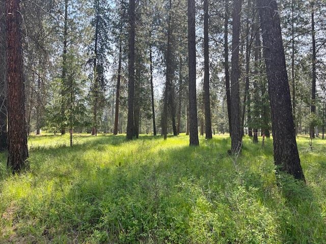 203 Eagle Dr - Photo 3